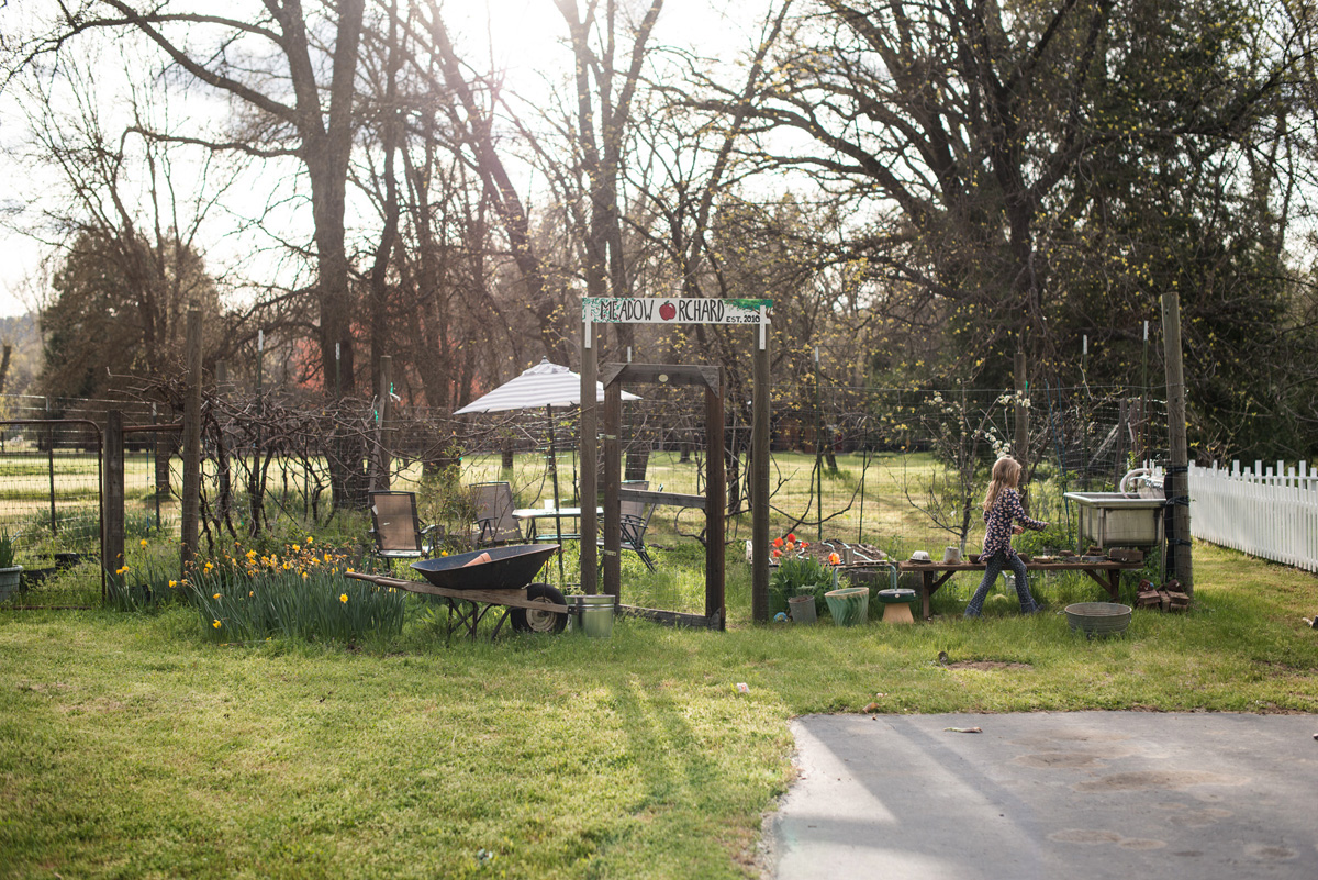 One of the two gardens (and our outdoor kids' kitchen--I had to specify because our actual kitchen is outdoor right now!). Currently its grape vines are full and the trees are lush. It's a whimsical place to be and Everett has full control over it. He's already harvested some veggies from it!