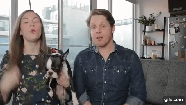 Spoiler alert: 2018 wasn’t all giggled and puppies