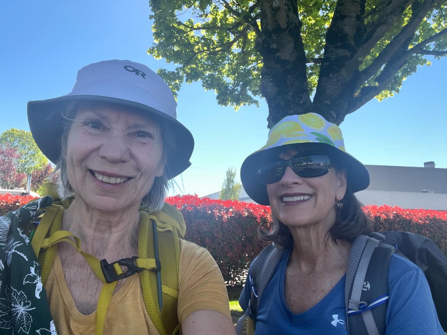 ICF member Teresa and her friend Yvonne will be completing the El Camino de Santiago hike which is 800km (500 miles). They are headed to Paris today, then will be taking a train down to Saint Jean-Pied-de-Port for the night and starting their trek ov