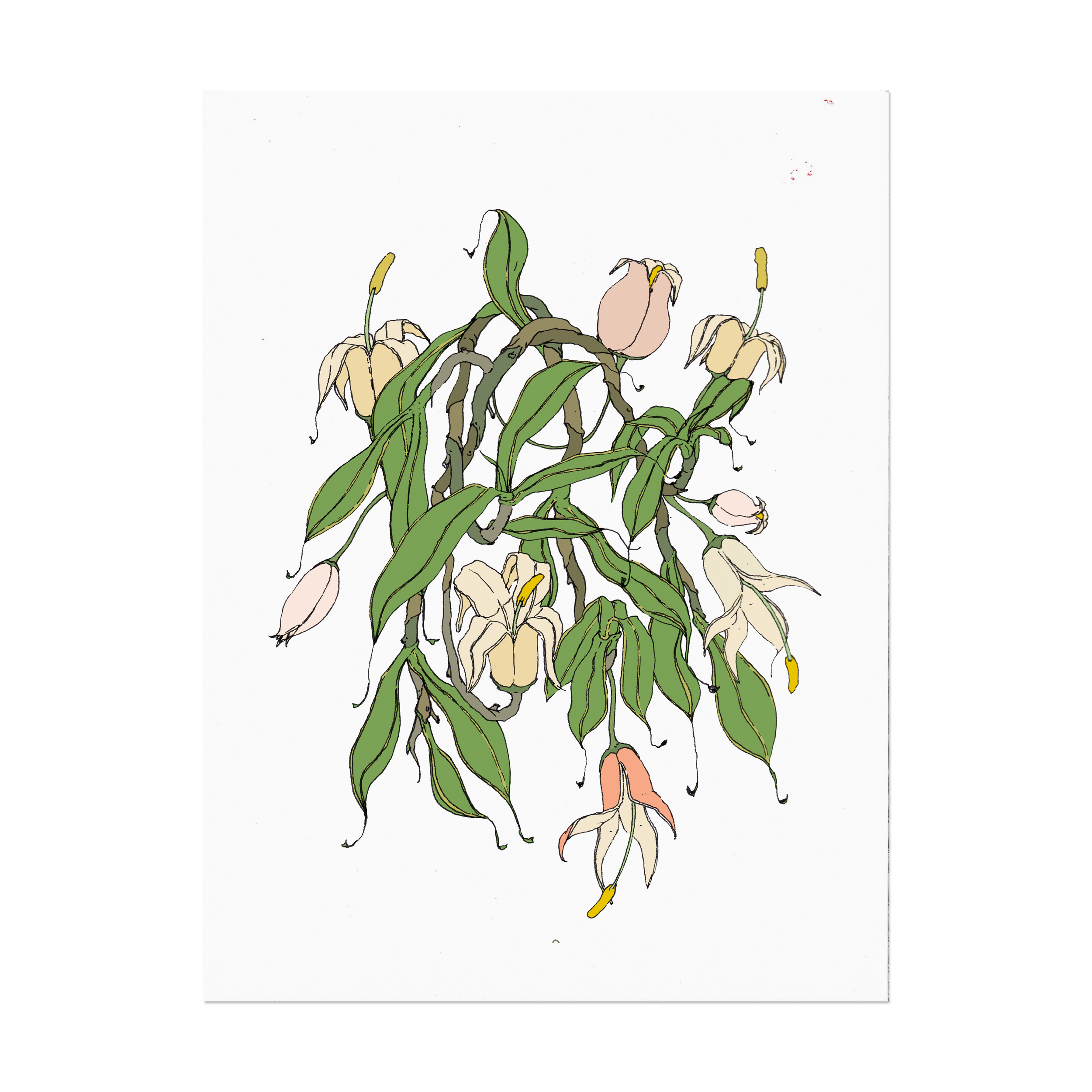 Detail_Flowers_Colored 1.png