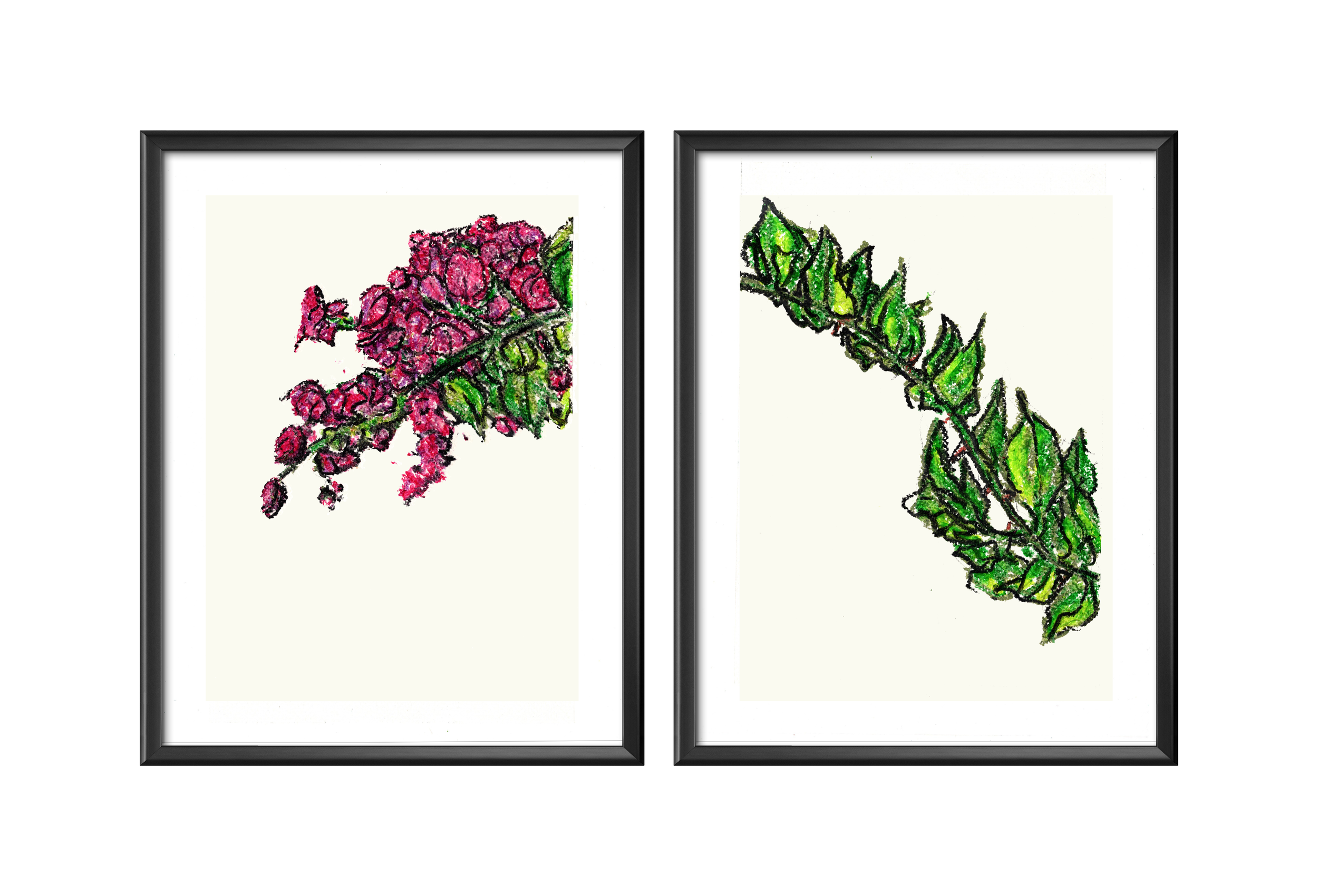 01.14.25 - Oil Pastel - Bougainvillea Diptych.png