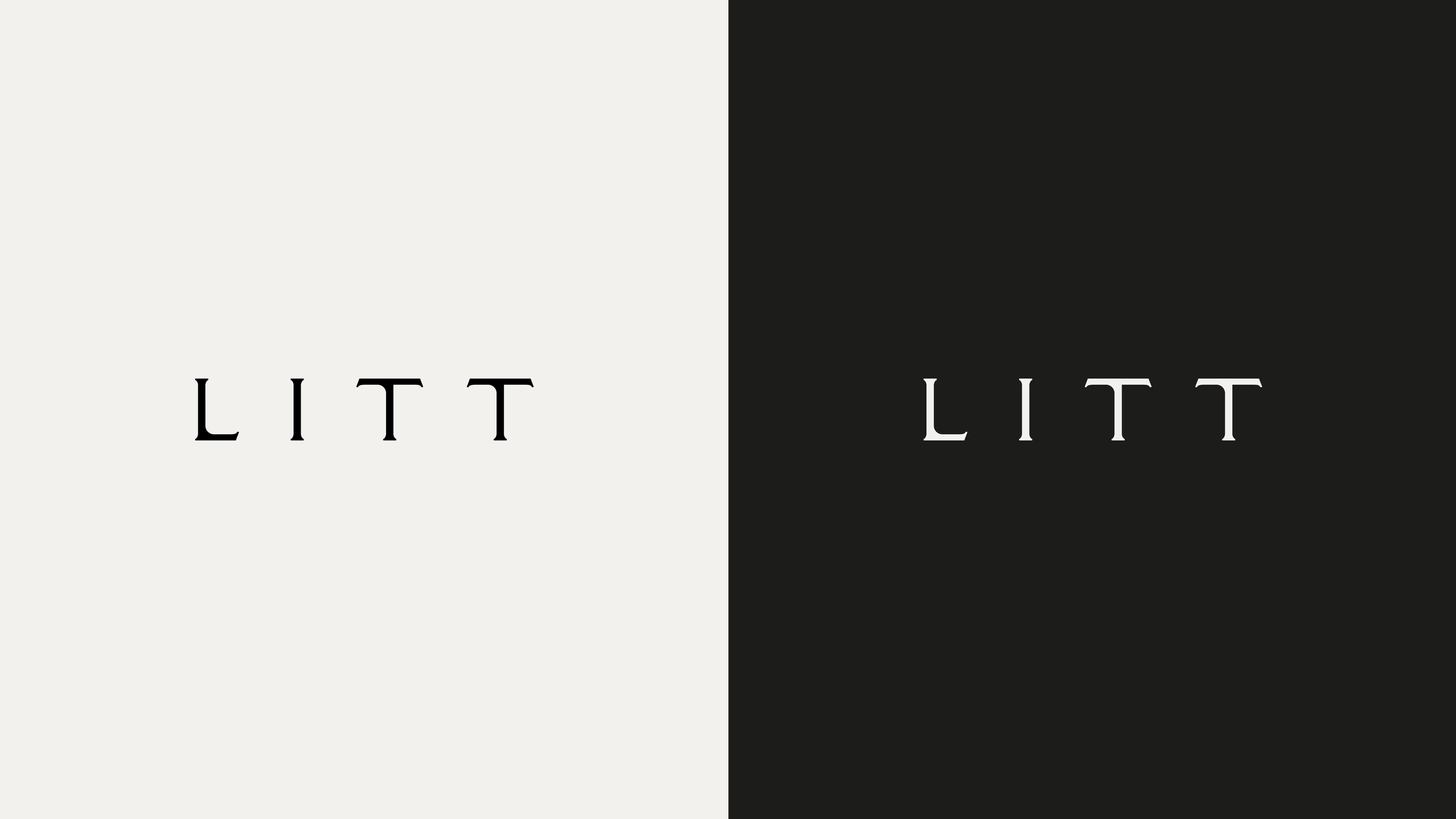 10495 - LITT - BRAND IDENTITY - V5 - 11.14.24-3.png