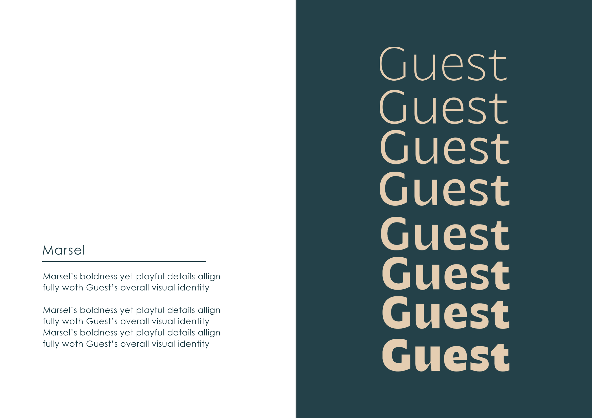 06 Brand Identity Type 3-2.png