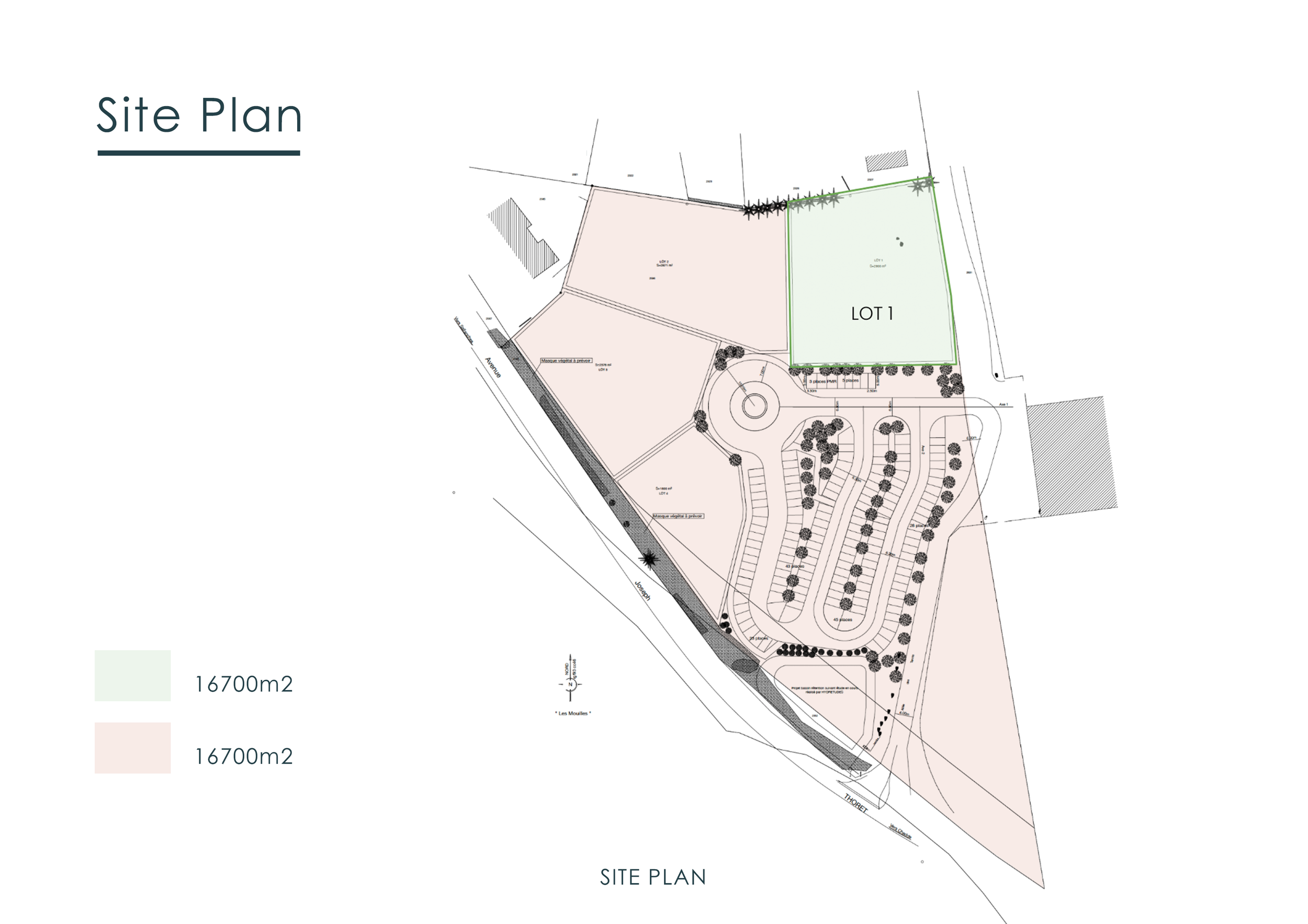 07 ARCHITECTURE Site Plan.png
