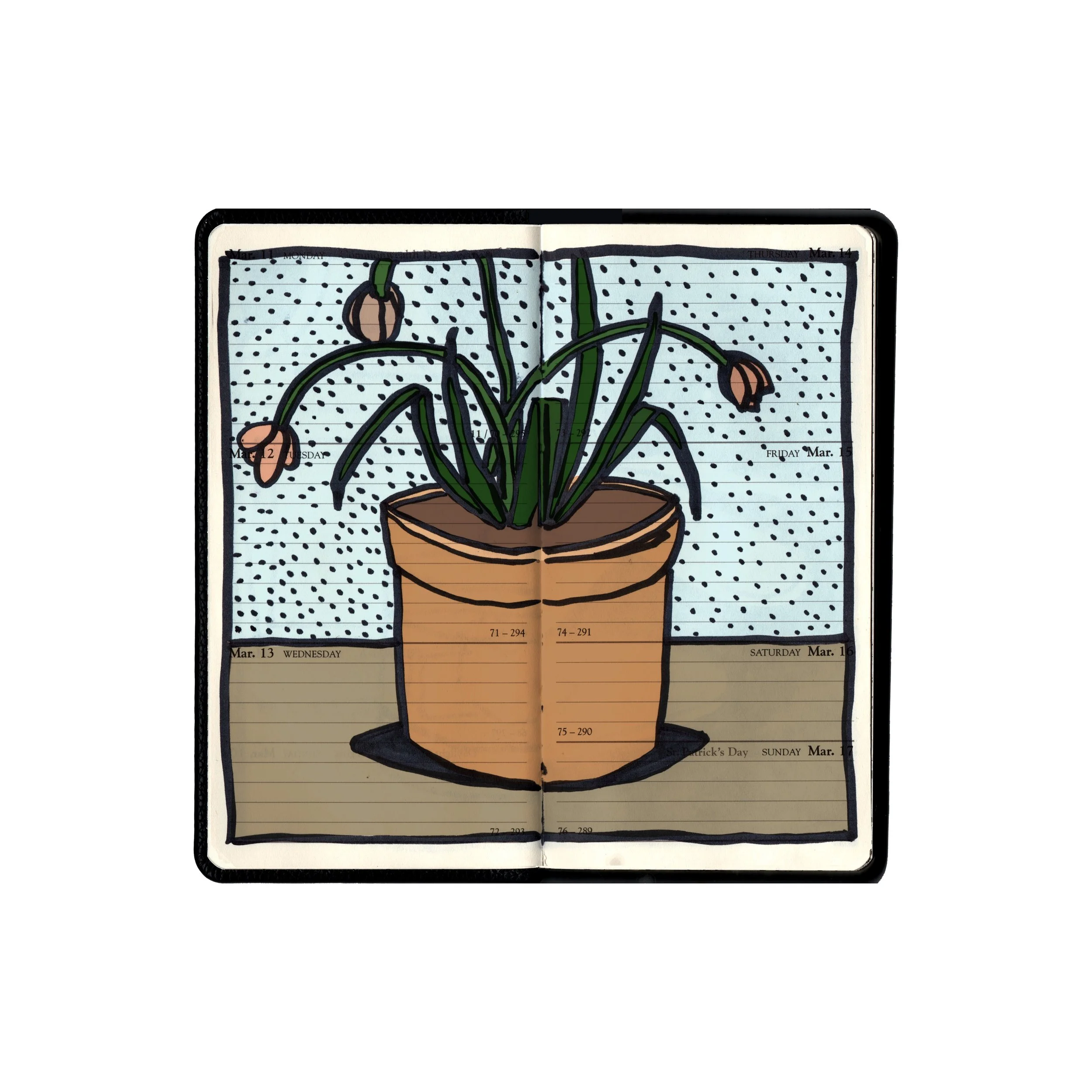 Flowers.jpg
