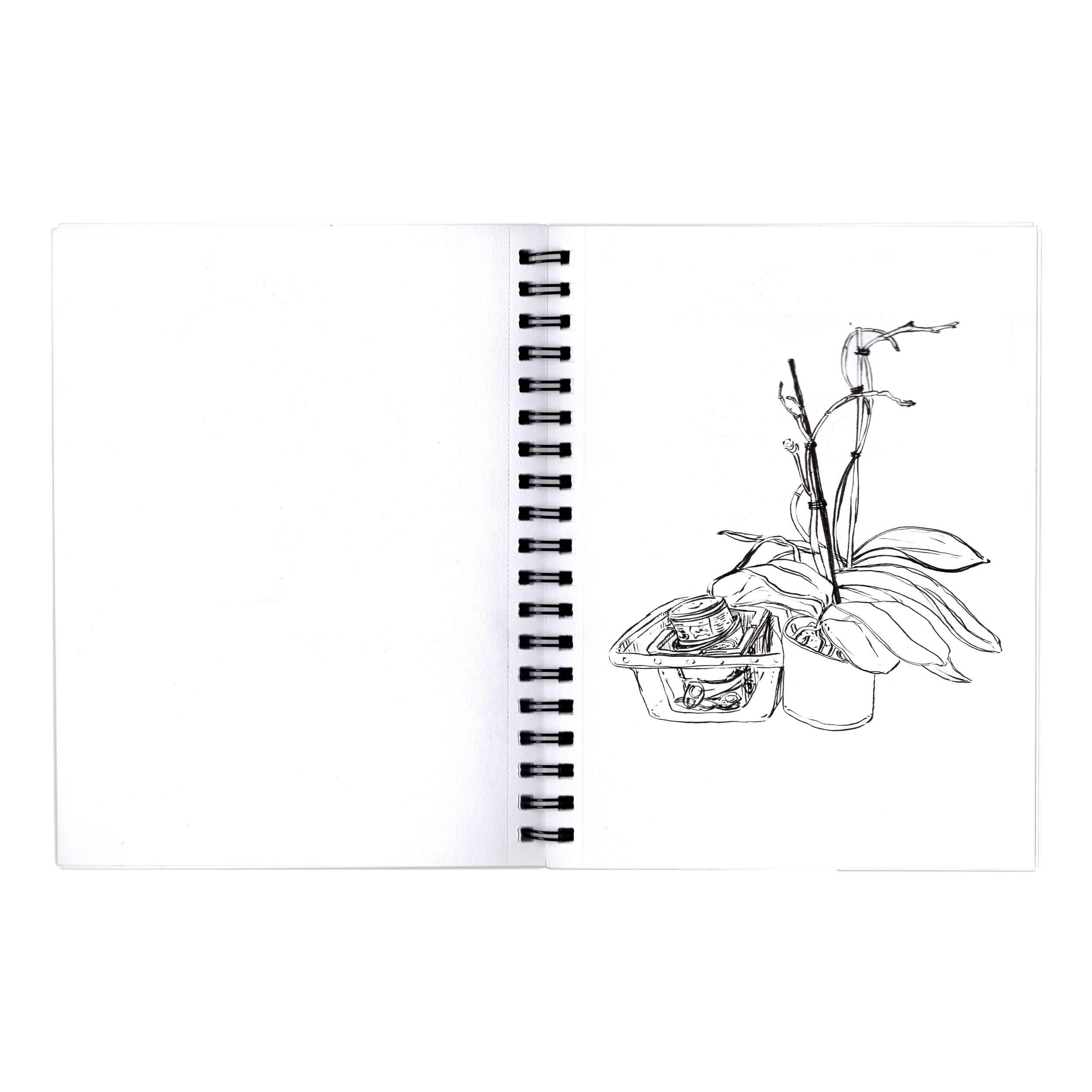 _Blue Brush Notebook - NYC - Orchyds.png