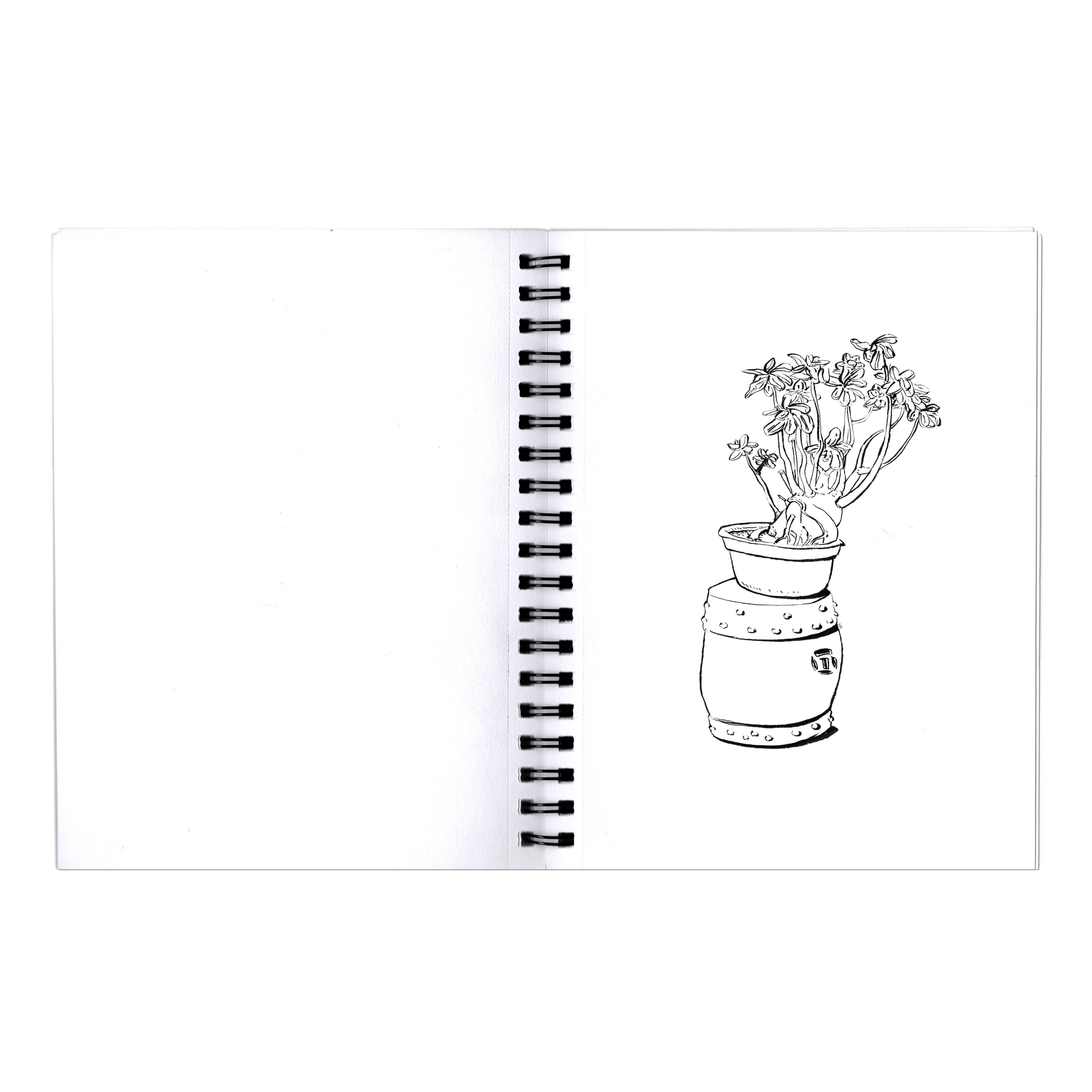 _Blue Brush Notebook - NYC Desert Rose.png