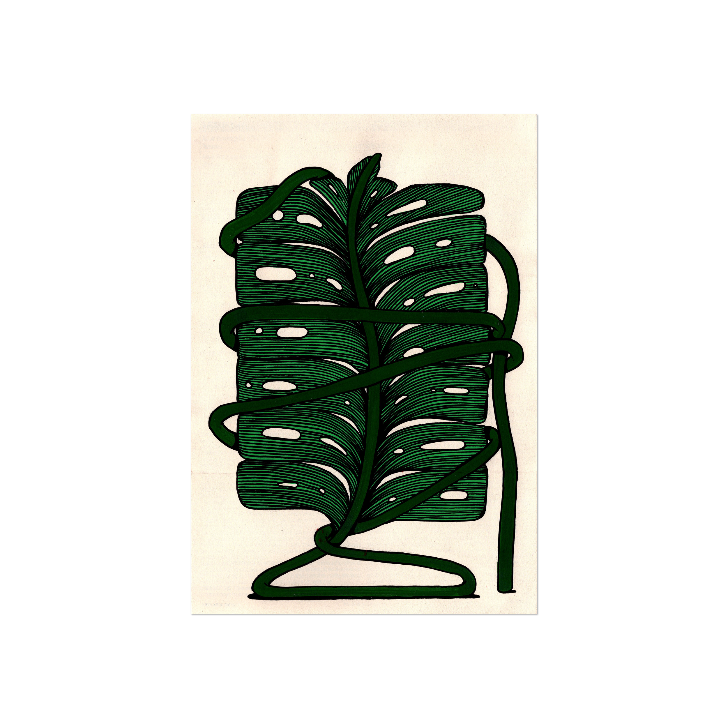 Leaf Series 2 - Monstera 1.png