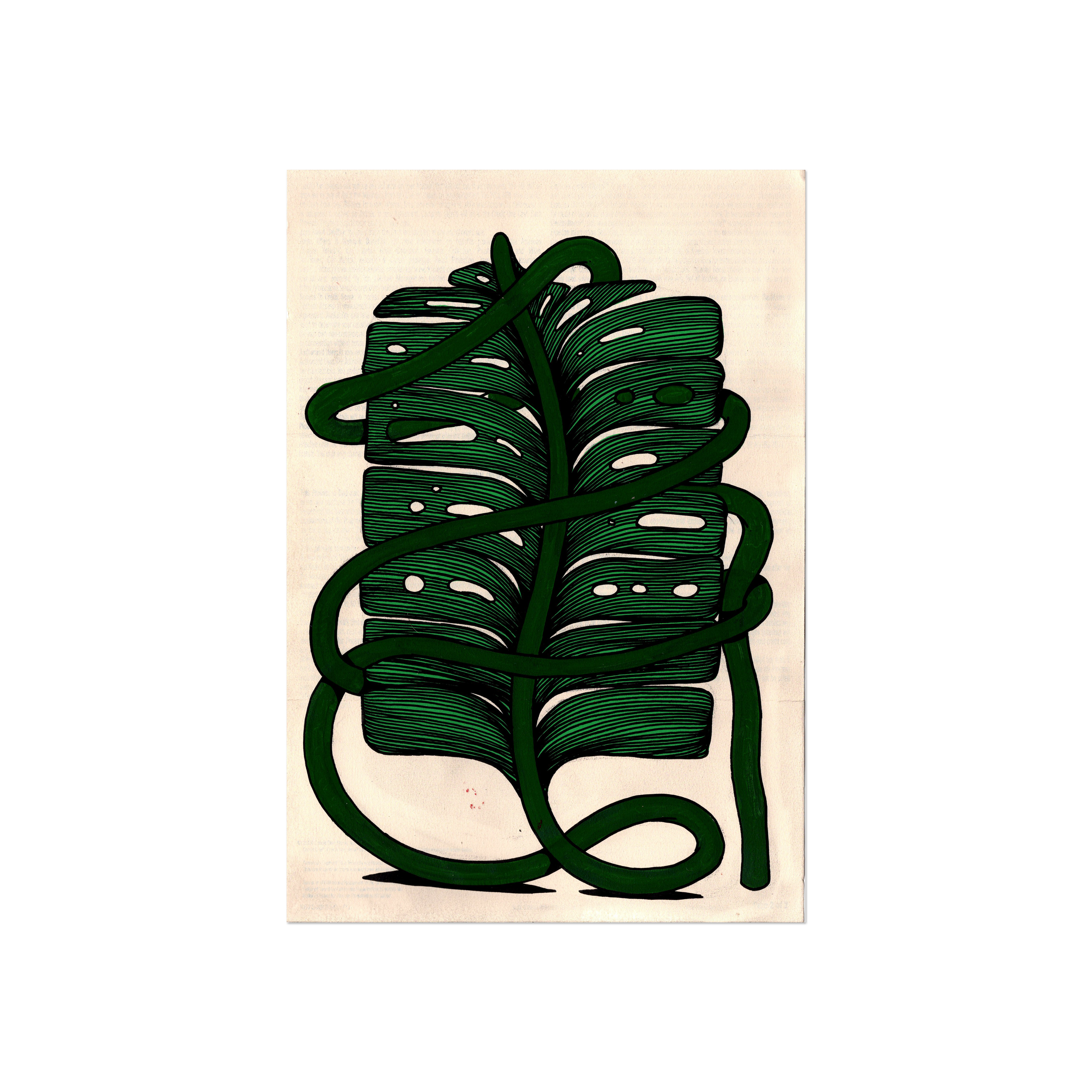 Leaf Series 2 - Monstera 3.png