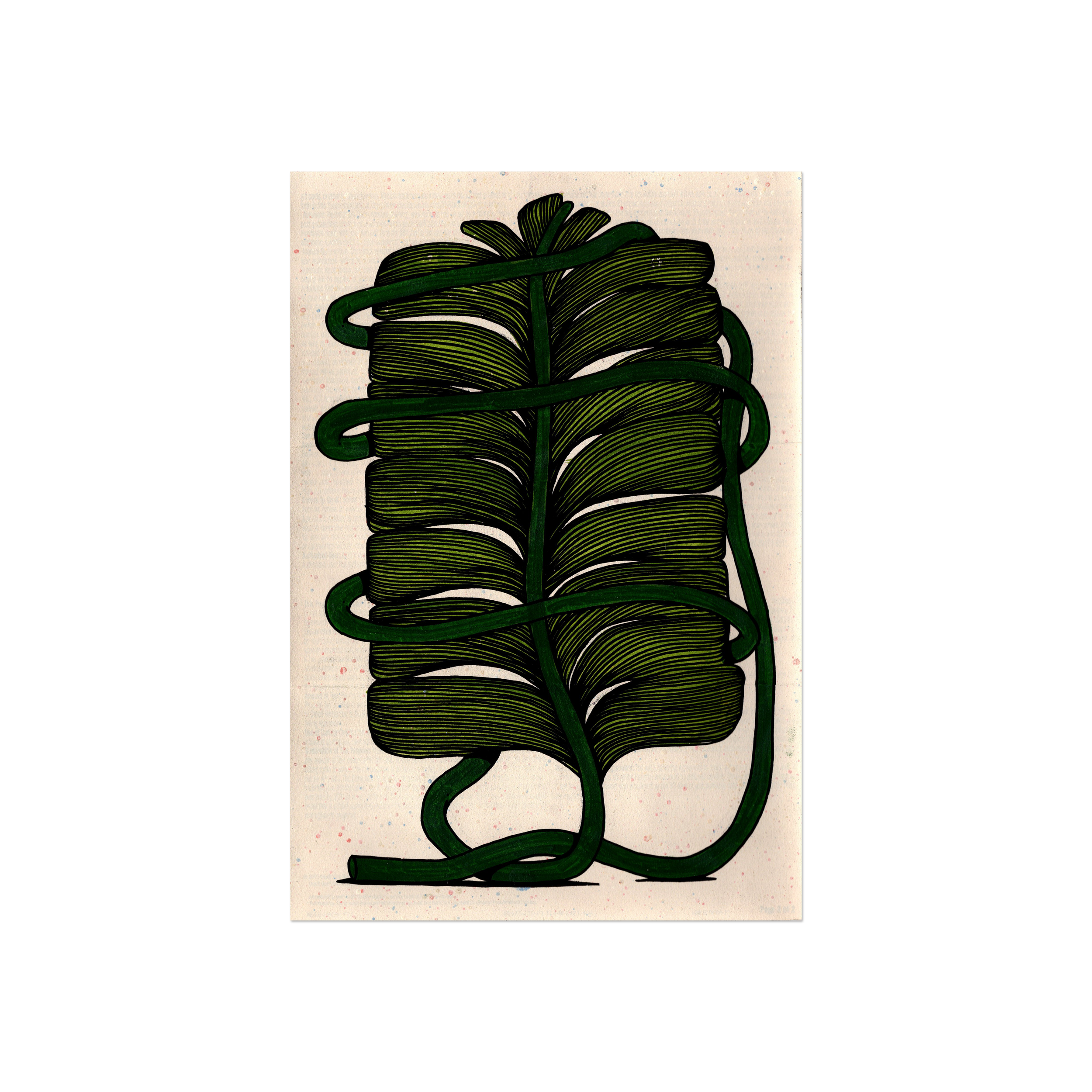 Leaf Series 2 - Monstera 5.png