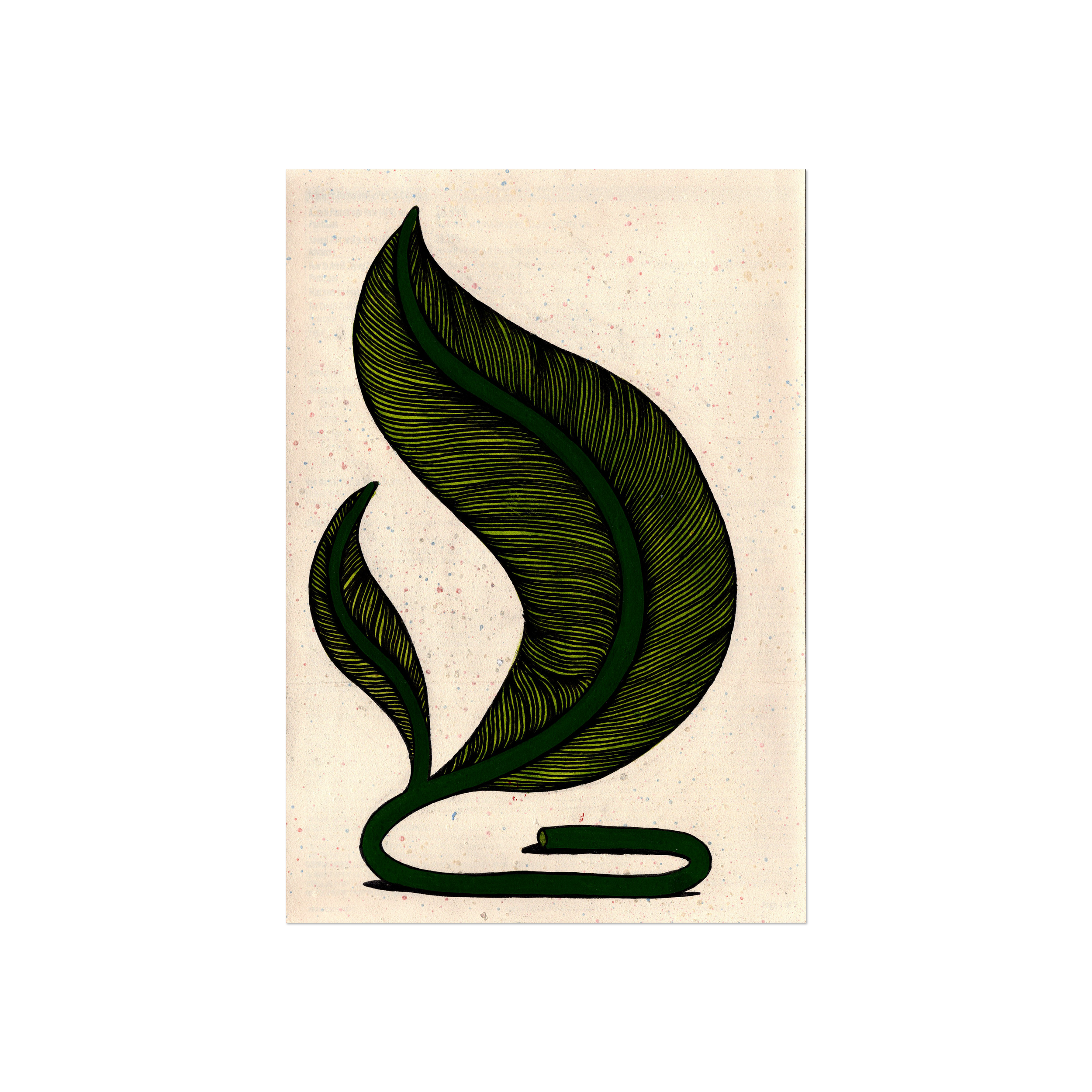 Leaf Series 2 - Monstera 12.png