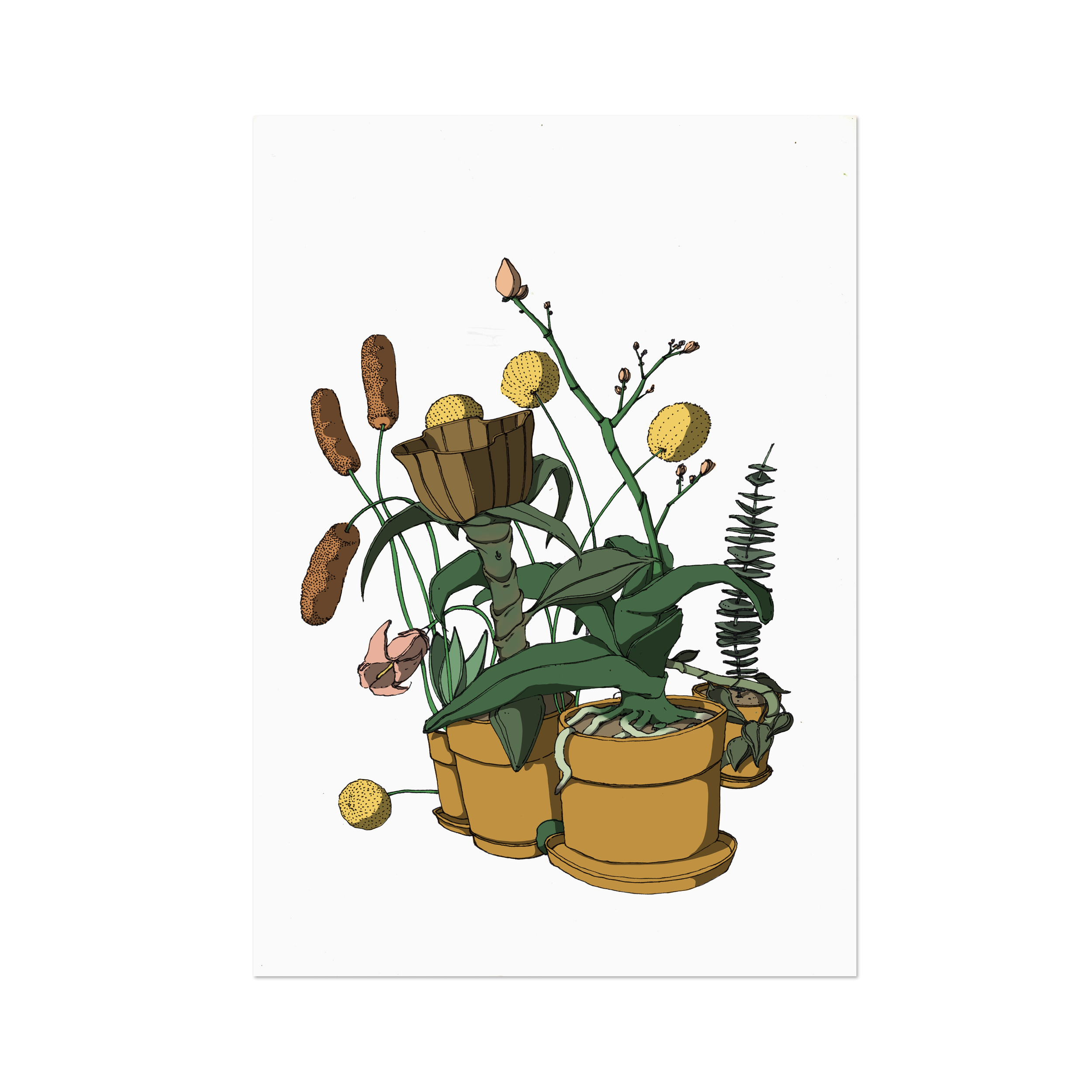 __LARGE-NOTEBOOK - INDIVIDUAL - 1.png