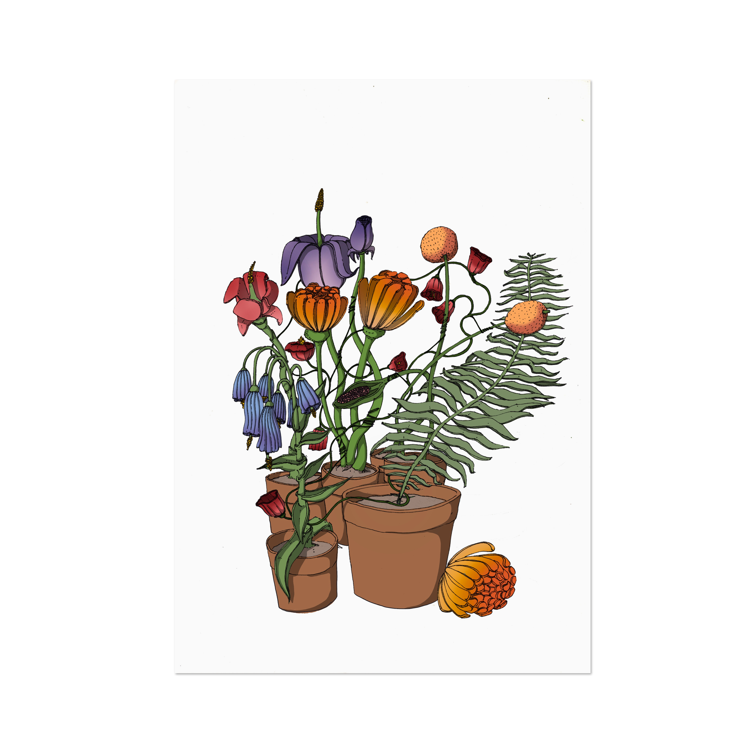 __LARGE-NOTEBOOK - INDIVIDUAL - 2.png