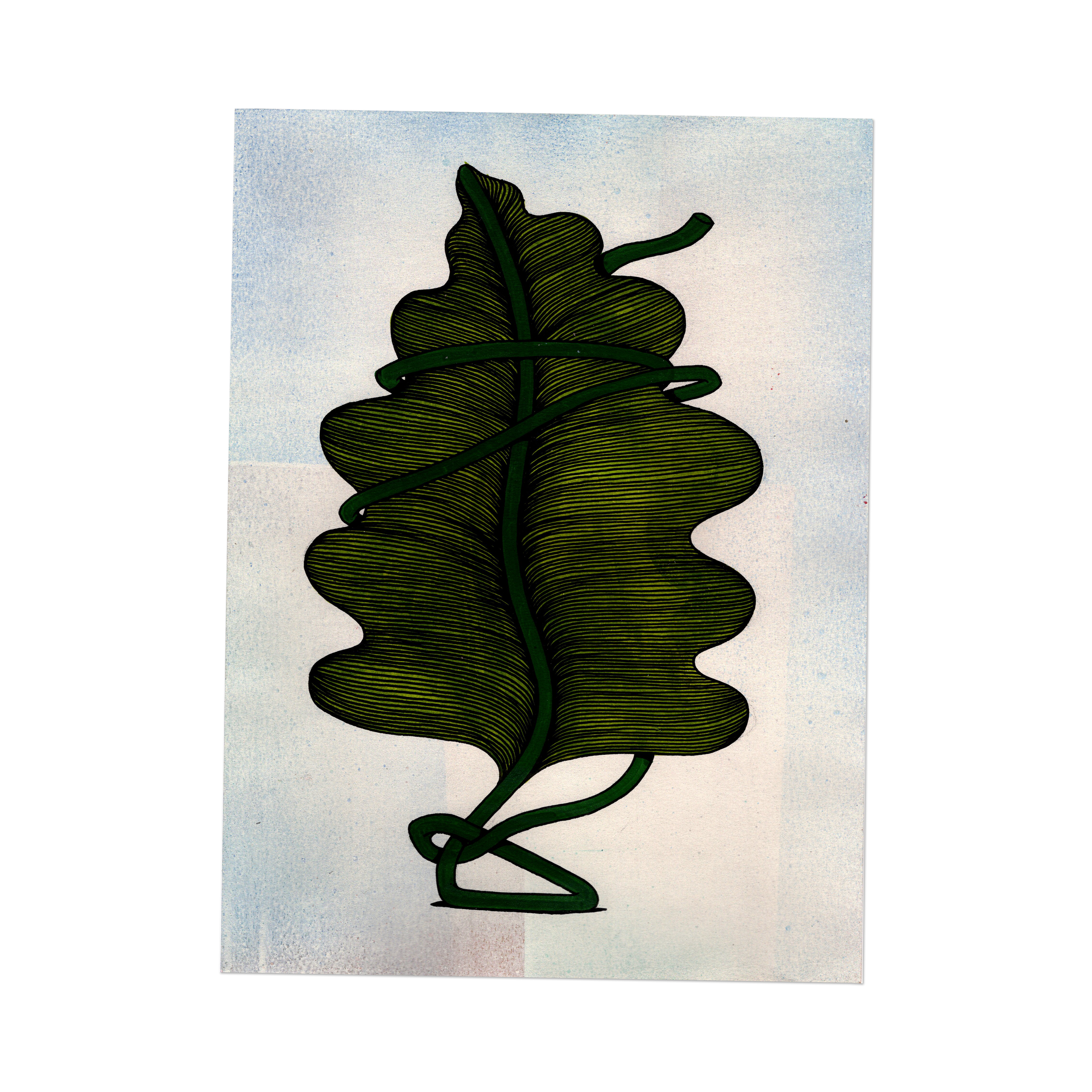 Leaf Series 3 - 4.png