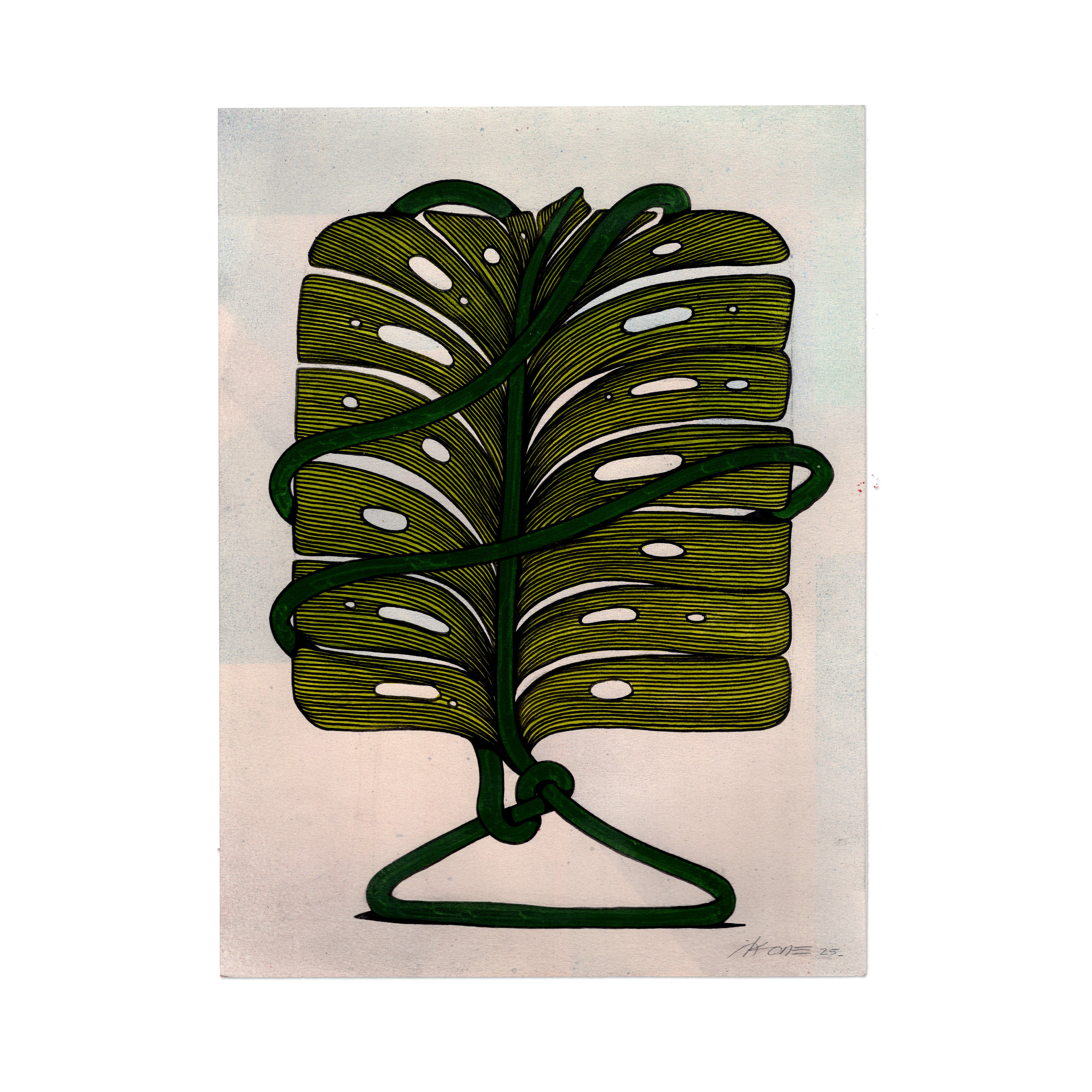 Leaf Series 3 - 7 - Monstera.png