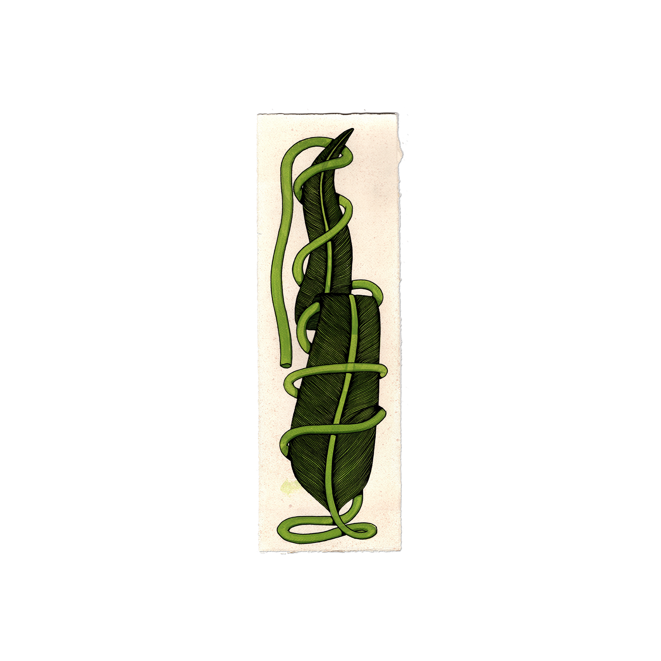 Leaf Series - Tall - Small - 1.png