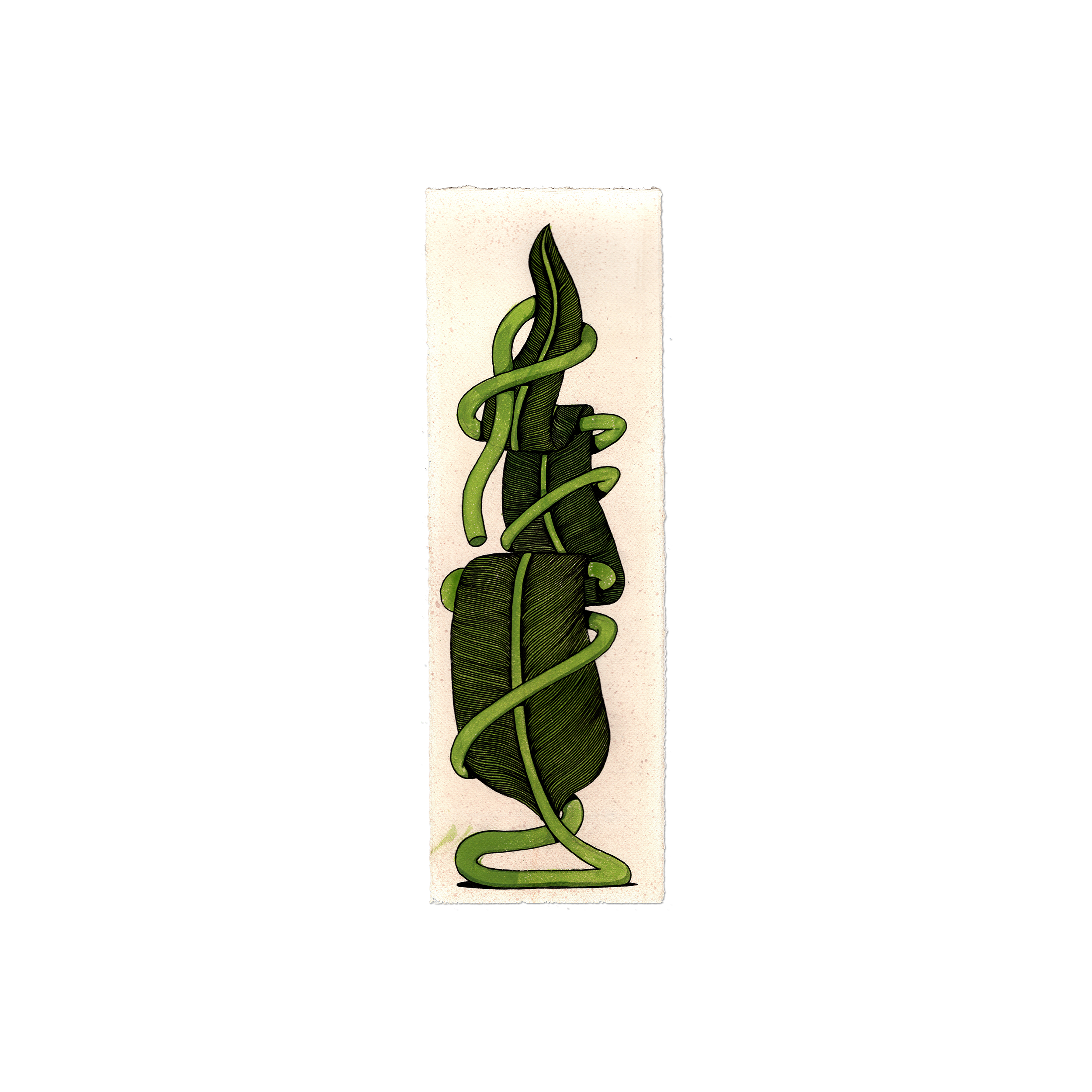 Leaf Series - Tall - Small - 6.png