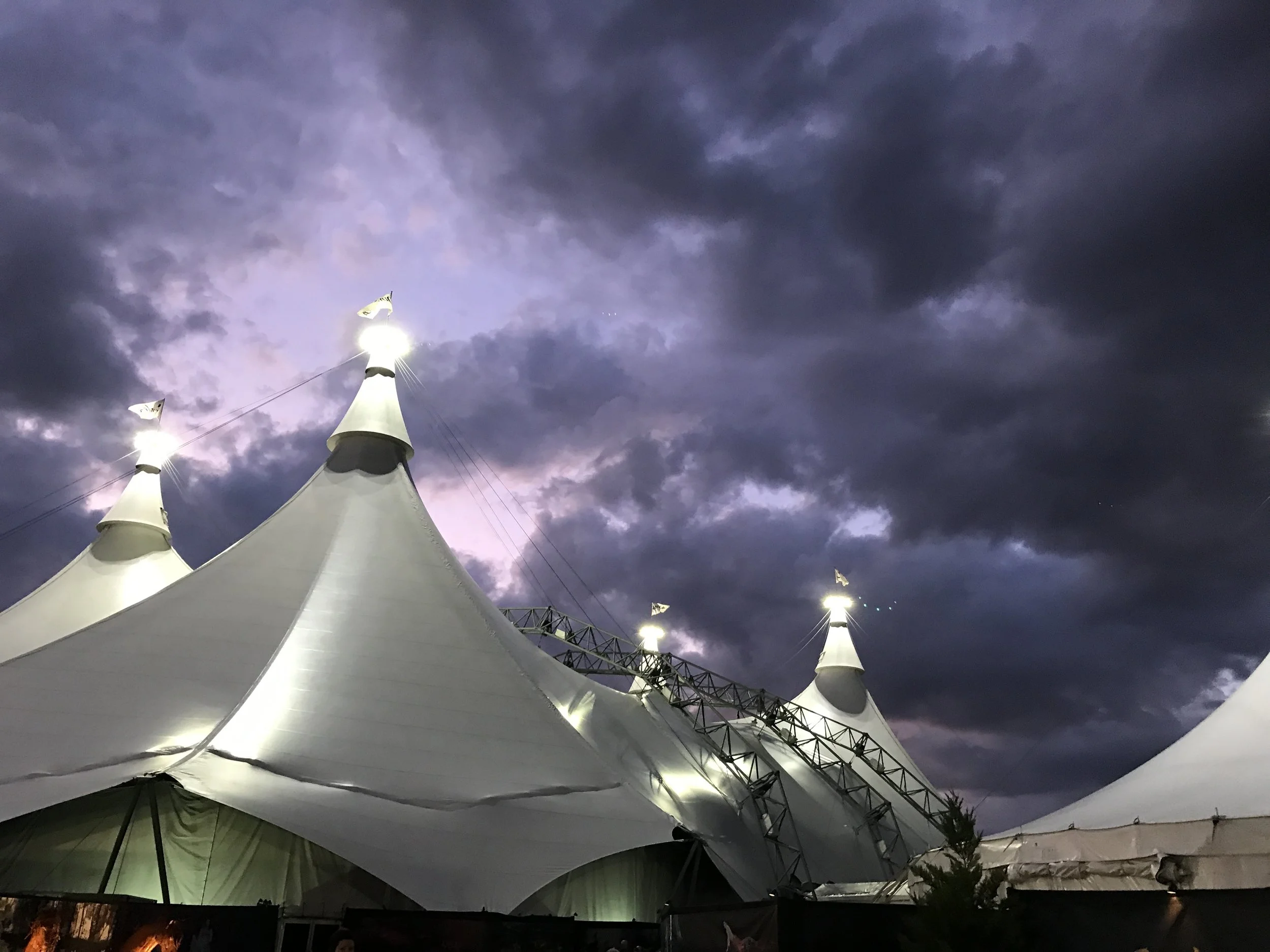 Grasshoppers, Work, Music  ~ Nashville, TN