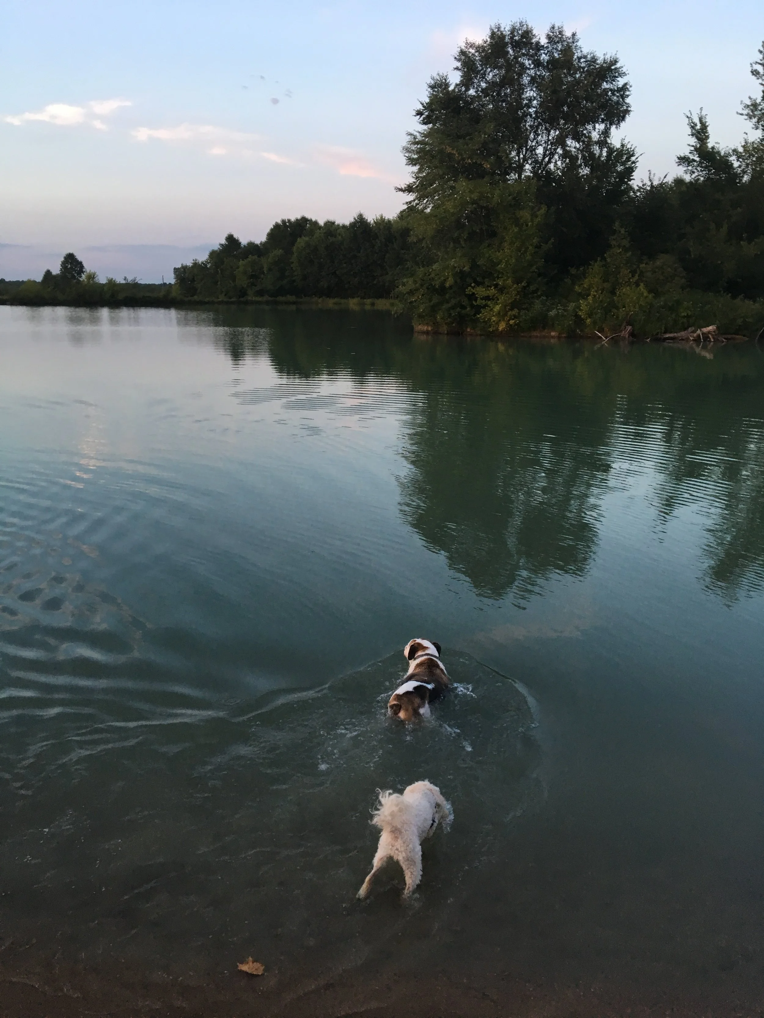 Yes, Everything is Okay ~ O'Fallon 