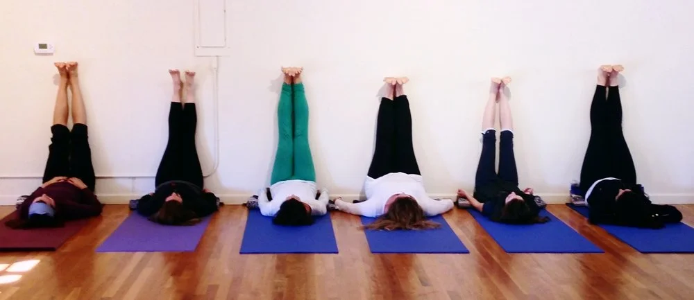 Yoga and Jewish Wisdom Teacher Training, Cohort 1, 2015