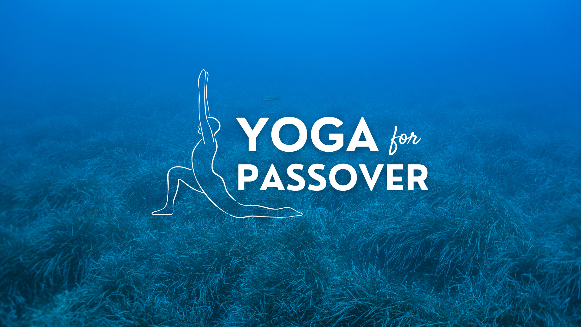 Yoga for Passover 2024