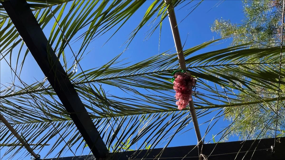 The Sukkah of our Body