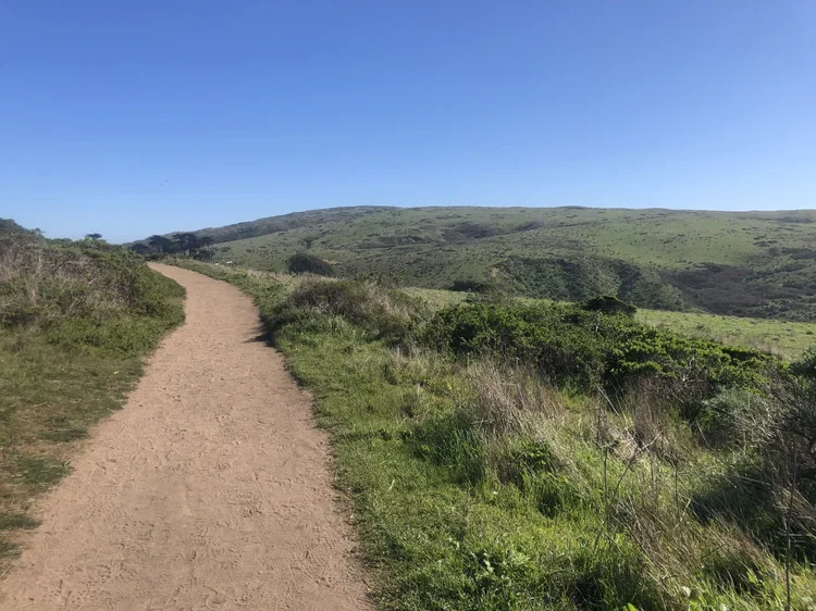  EJW - Advanced Teacher Training | Opening Retreat [Virtual]