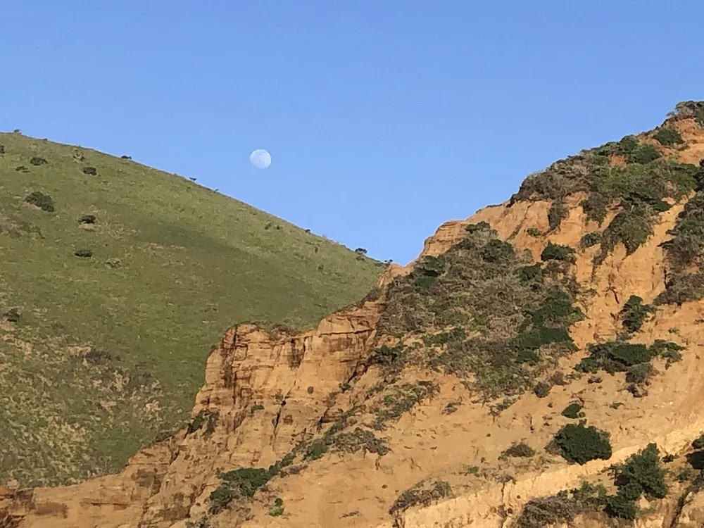  EJW - Advanced Teacher Training | Closing Retreat [Virtual]  