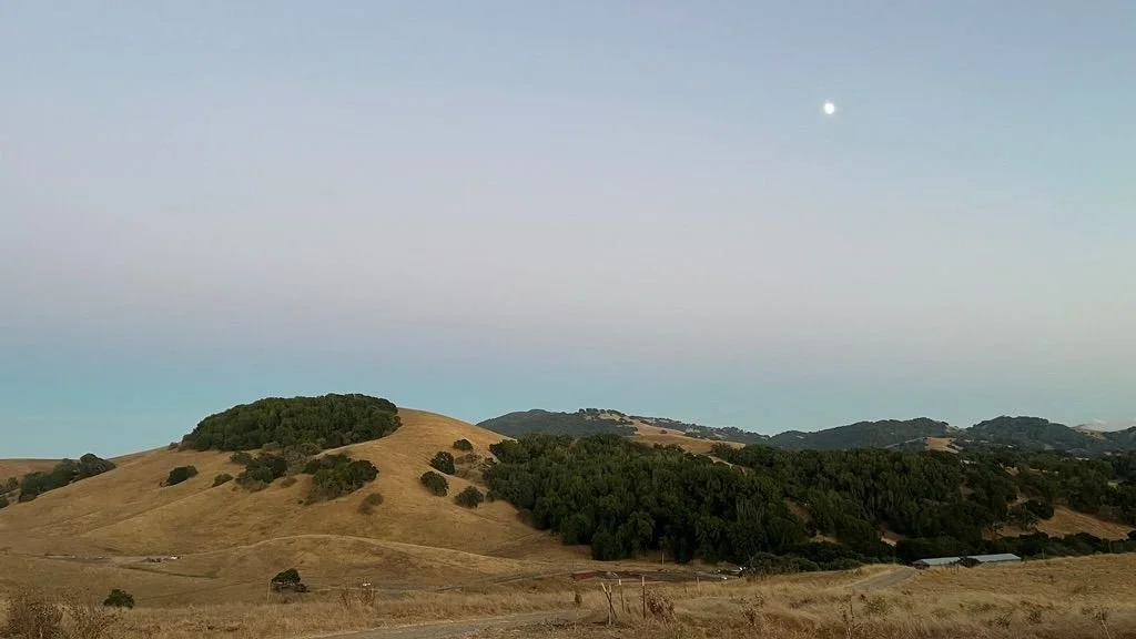 The Long View: Vistas that Expand the Soul's Reach