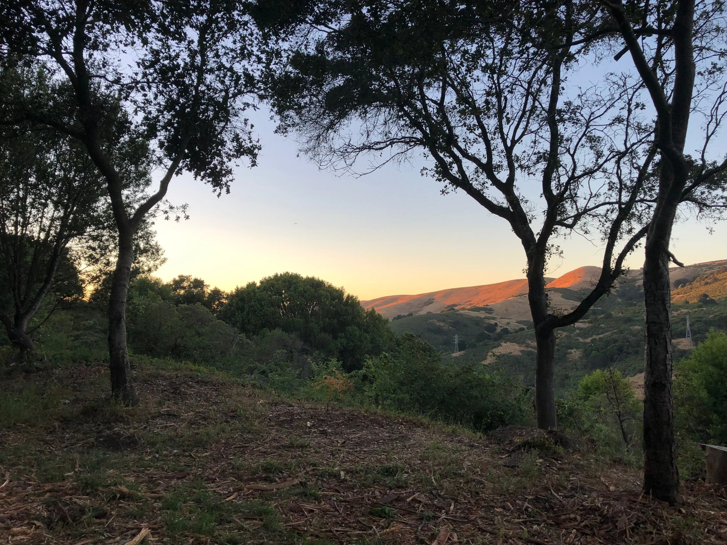 Embodying Light and Rest Series at Kol Shofar | In-Person