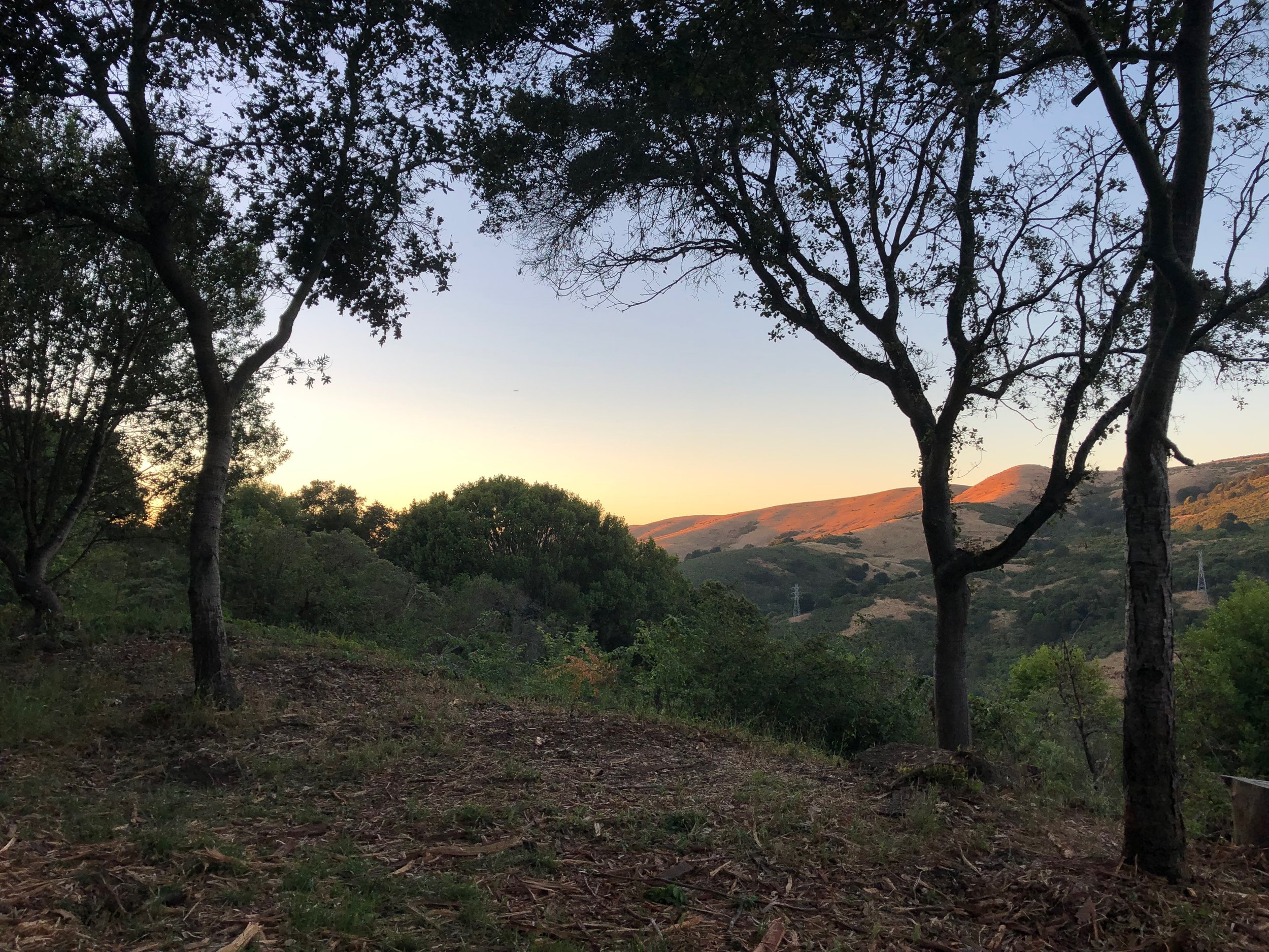 Embodying Light and Rest Series at Kol Shofar | In-Person