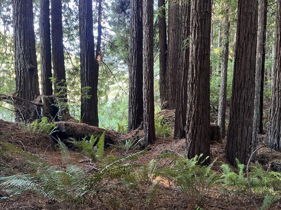 Embodying Earth 