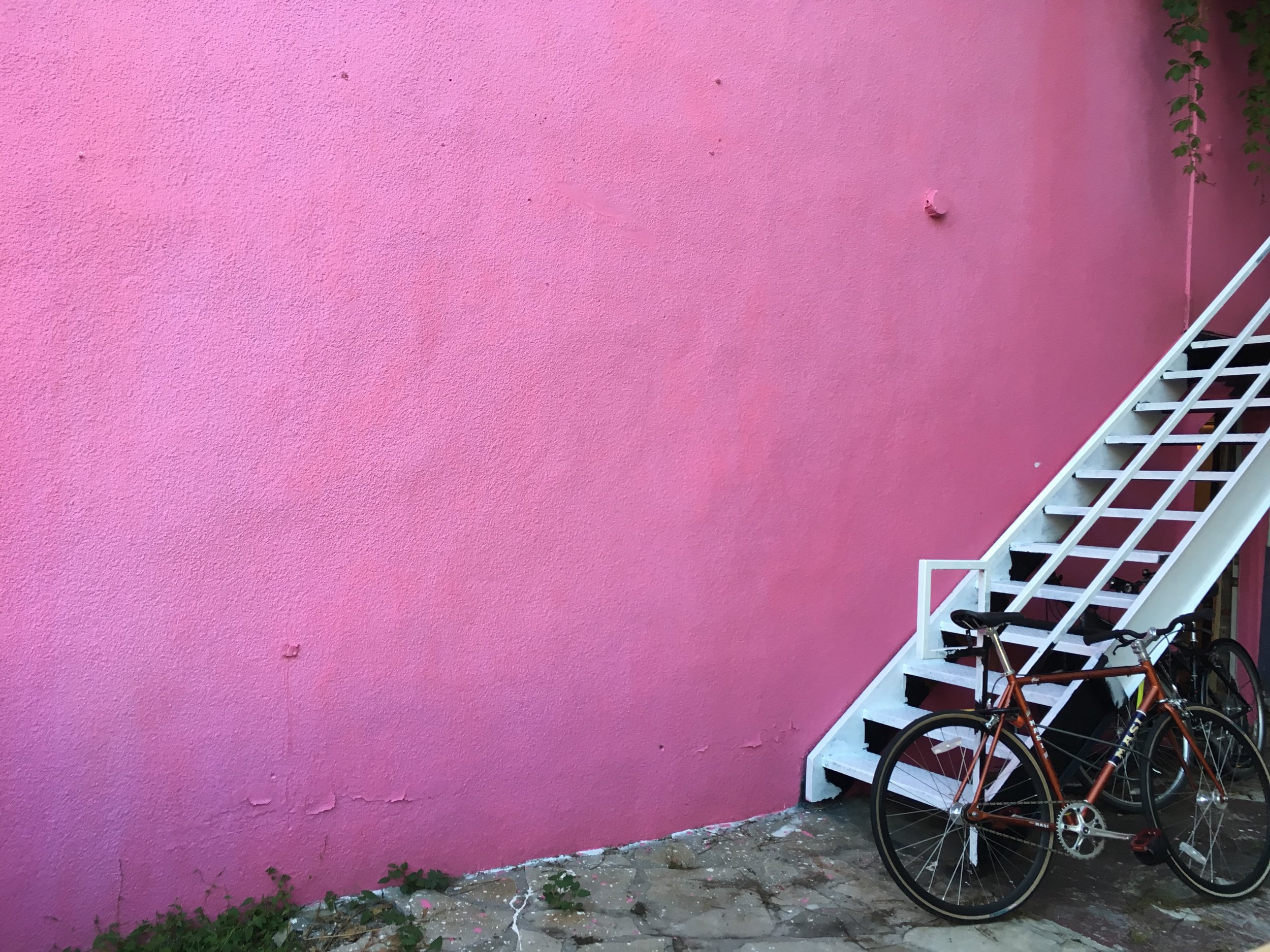 Pink Wall - found at Yonge St. & Birch Ave