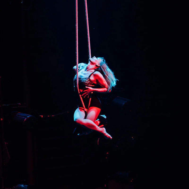 trapeze1.jpg