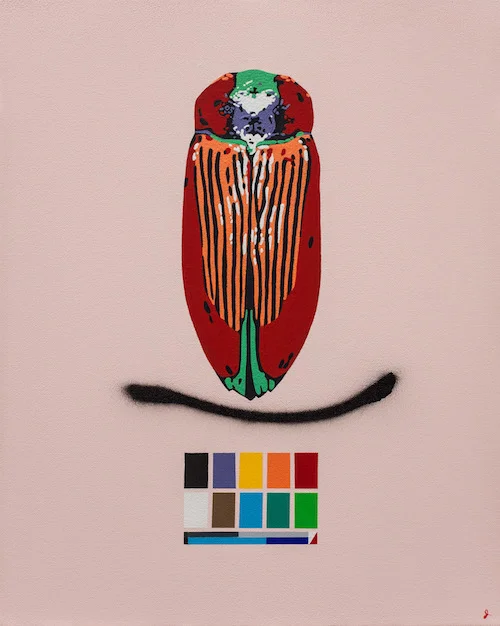 RHIZOME III acrylic, flashe, and spray paint on canvas, 20 x 16 inches,