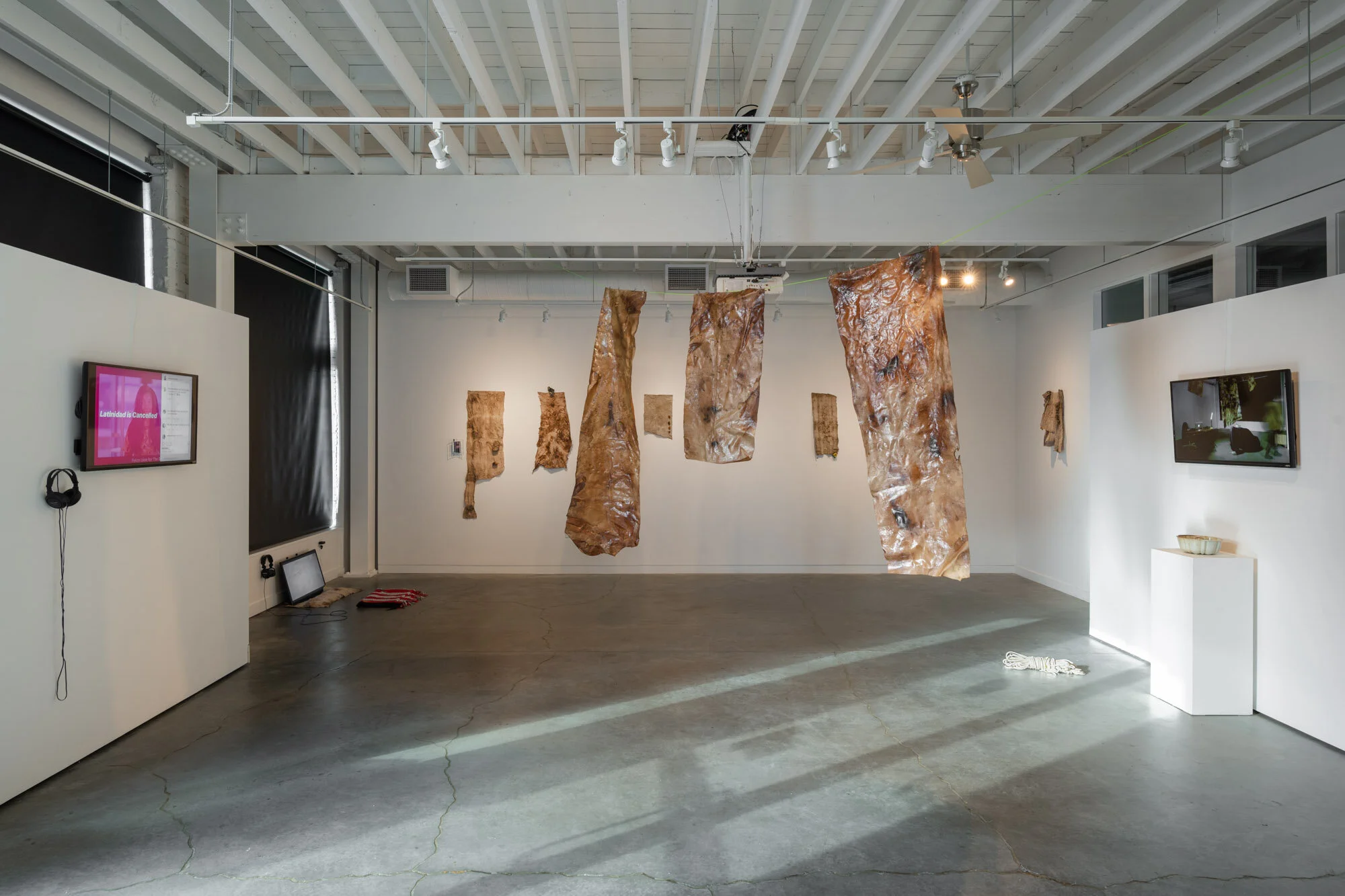 Not Total: Jonathan González, manuel arturo abreu, and Rindon Johnson | PCC Cascade Paragon Arts Gallery