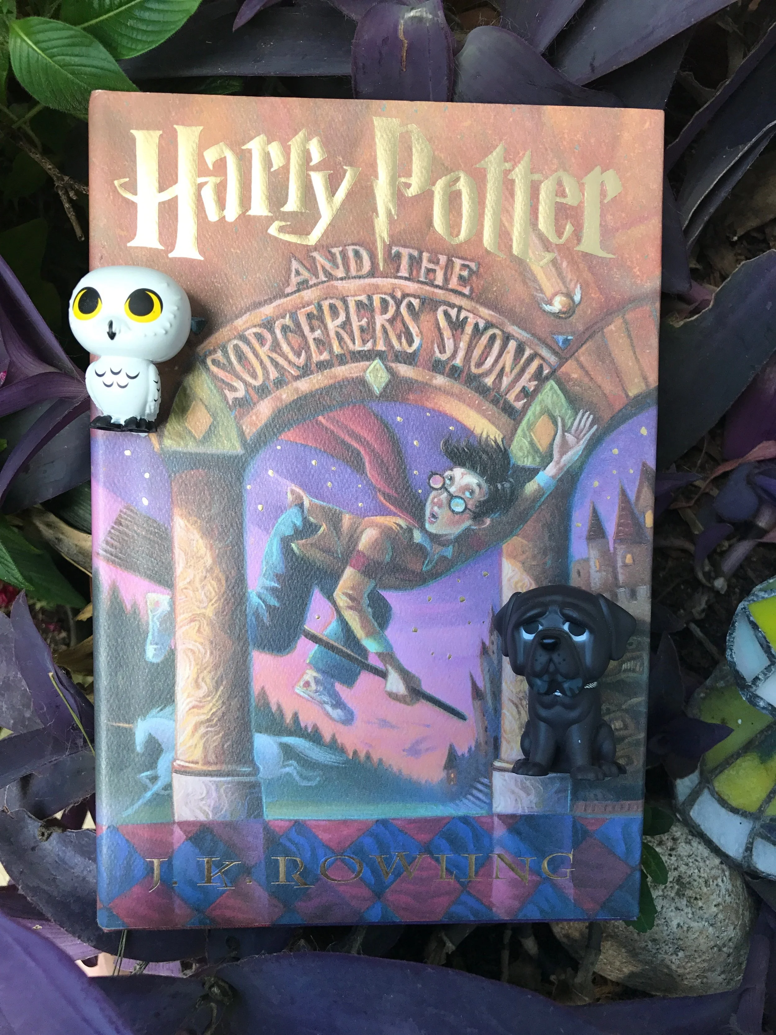 20 Years of Harry Potter! — Hallelujah Hill