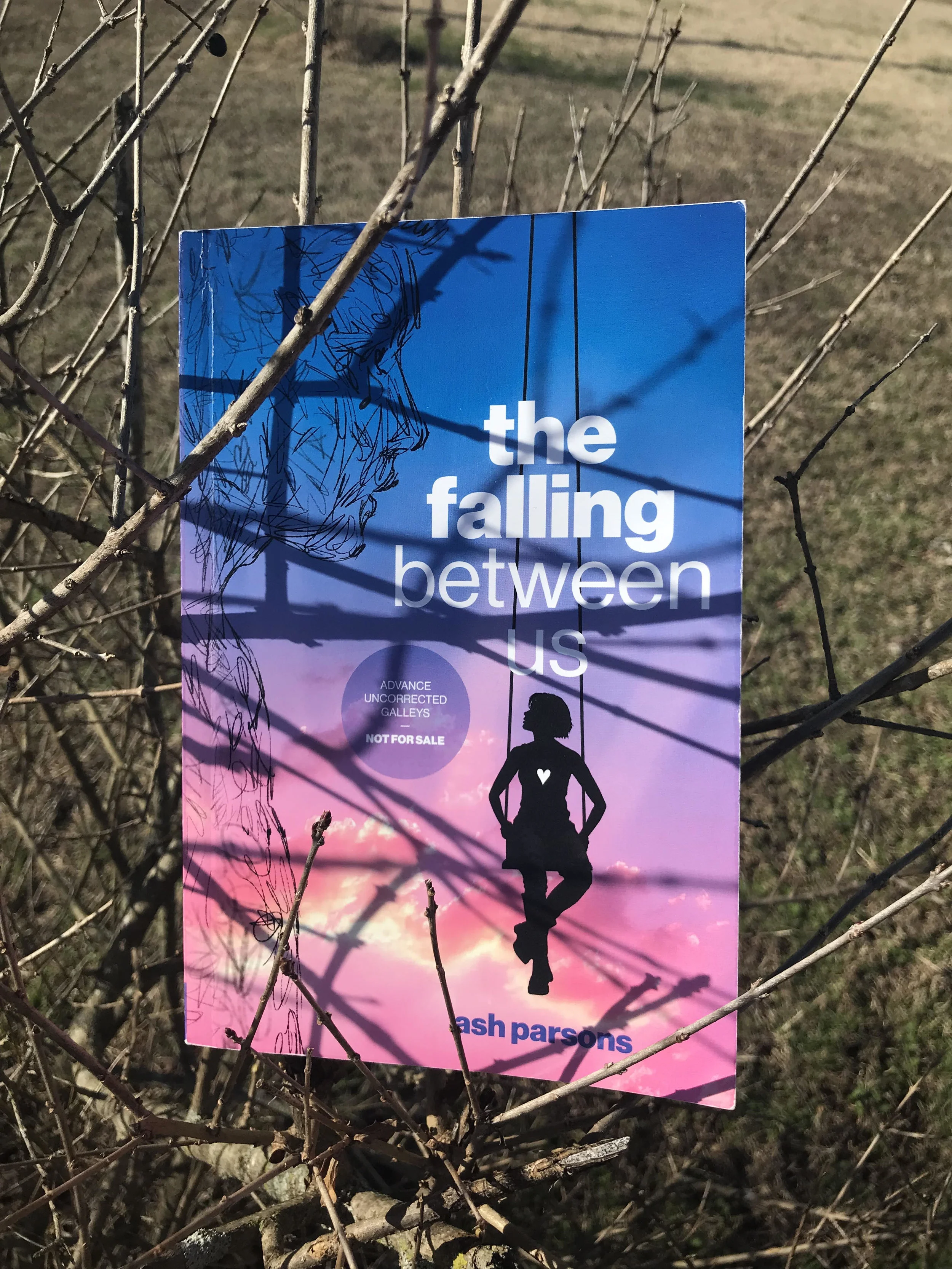 The Falling Between Us 2.jpg