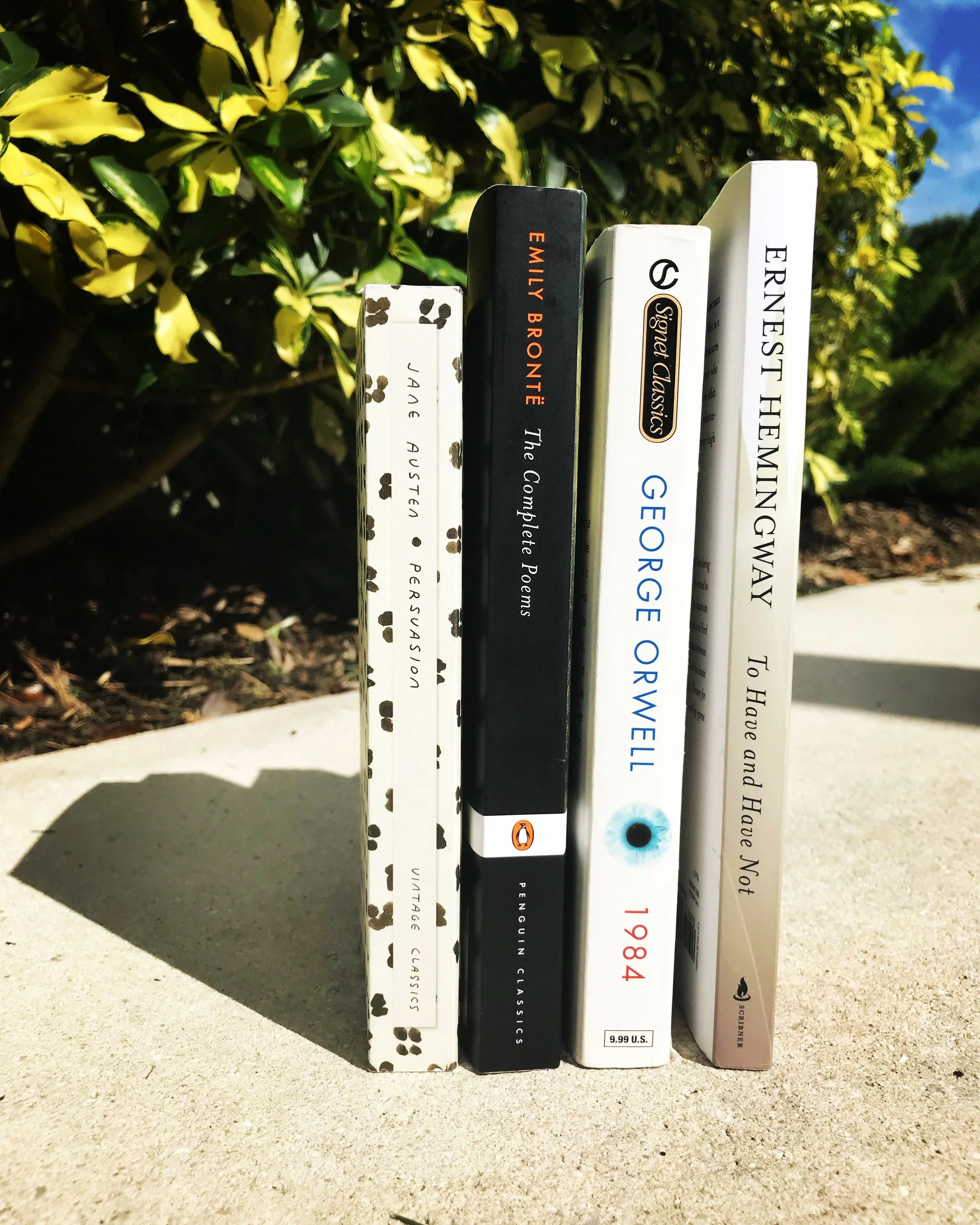 Classicsathon Wrap Up 2018