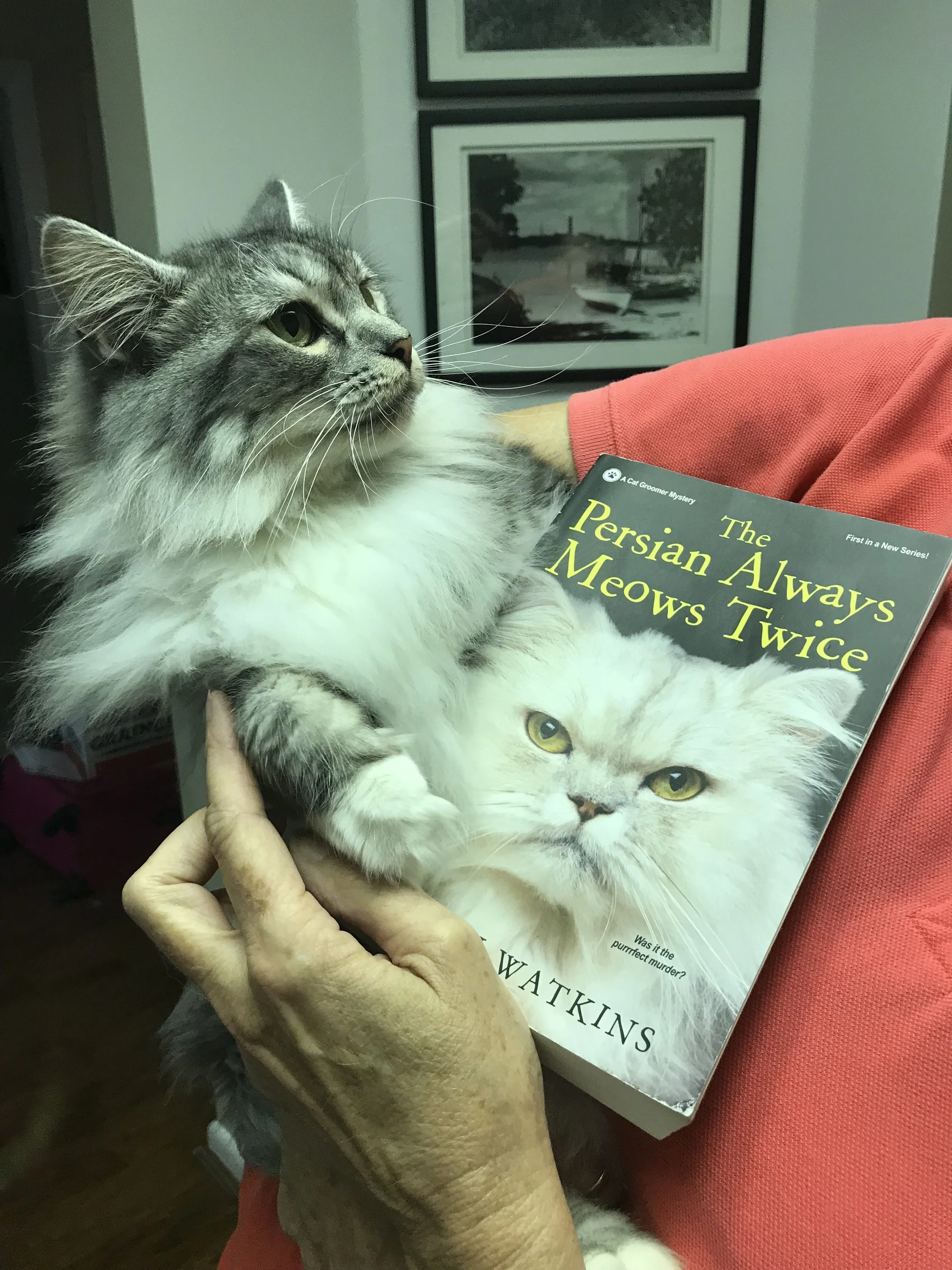 The Persian Always Meows Twice by Eileen Watkins Review