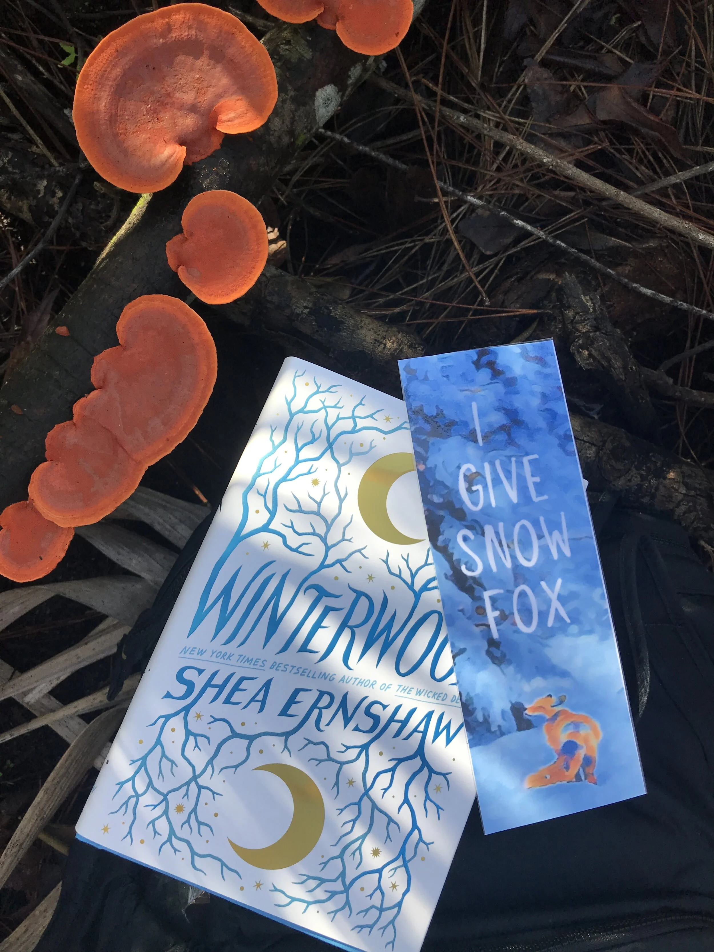 Winterwood by Shea Ernshaw Book Review