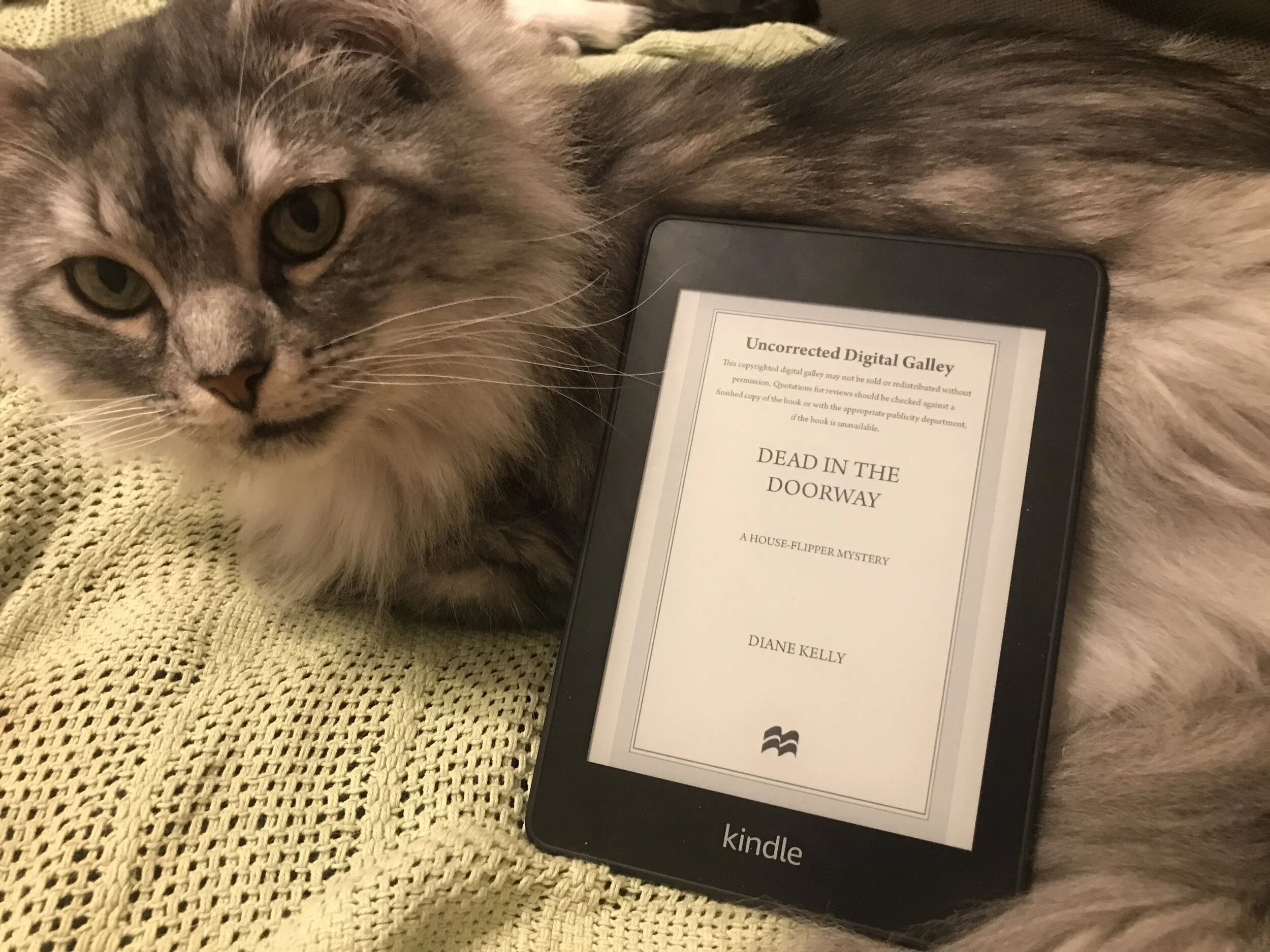 The Best Cozy Mystery I Have Read to Date! 