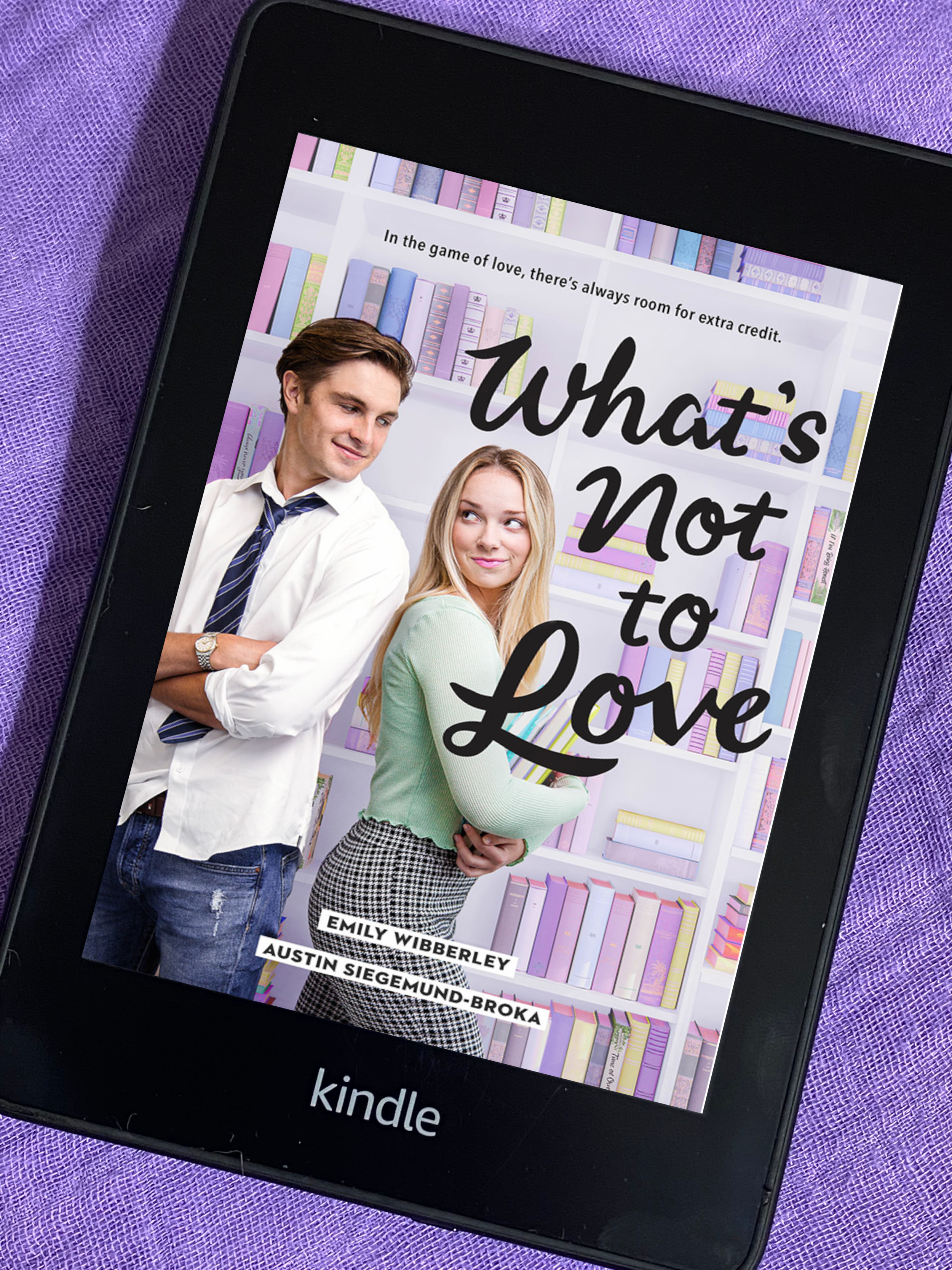 What’s Not to Love by Emily Wibbrley and Austin Siegemund-Broka Audio and Book Review