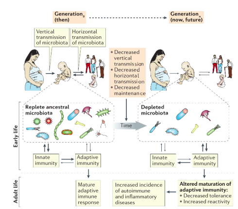 MICROBIOTA.png