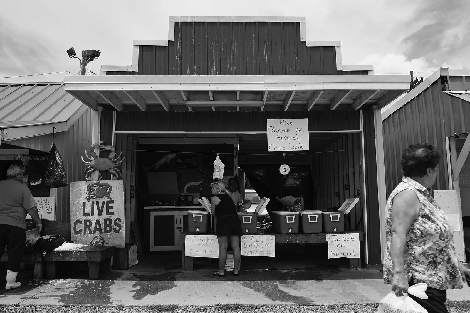 Ape_Bleakney_NewOrleans_DSC02961 2xx.jpg