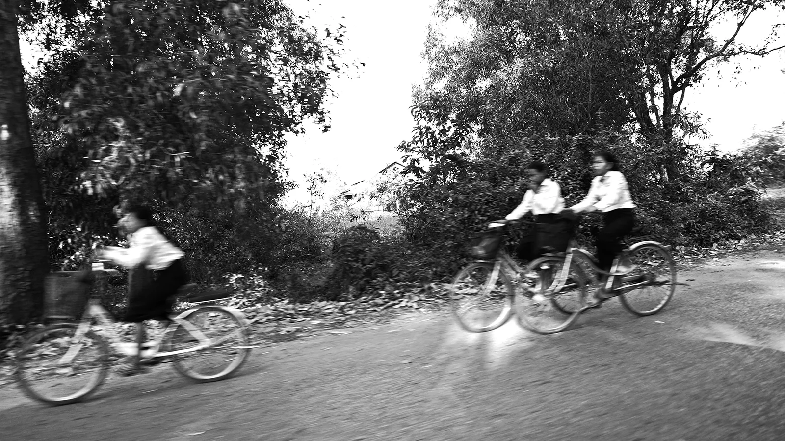 Ape_Bleakney_Cambodia_DSC03375x.jpg