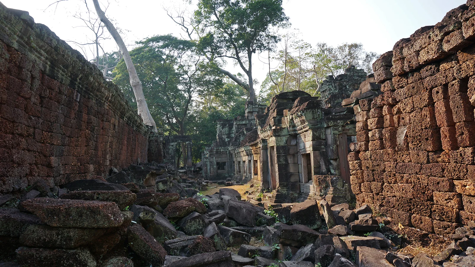 Ape_Bleakney_Cambodia_DSC02933x.jpg