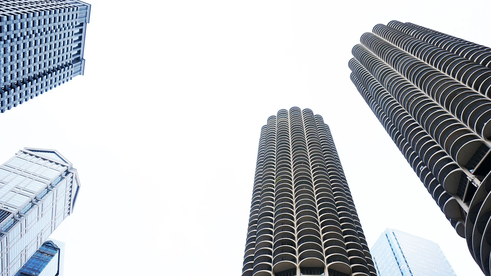 Ape_Bleakney_Chicago_DSC08035x.jpg