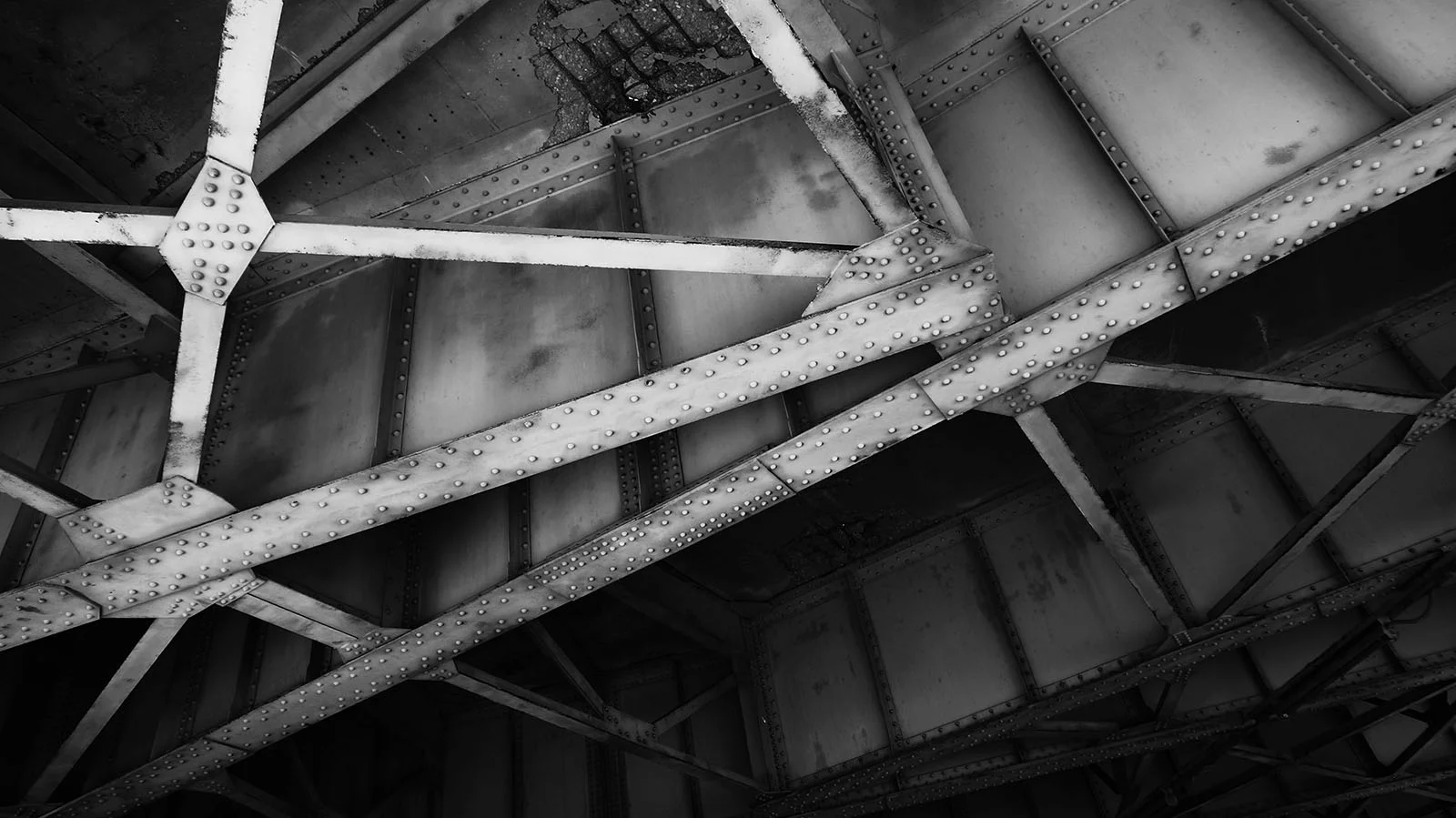 Ape_Bleakney_ClevelandW_DSC00932 2x.jpg