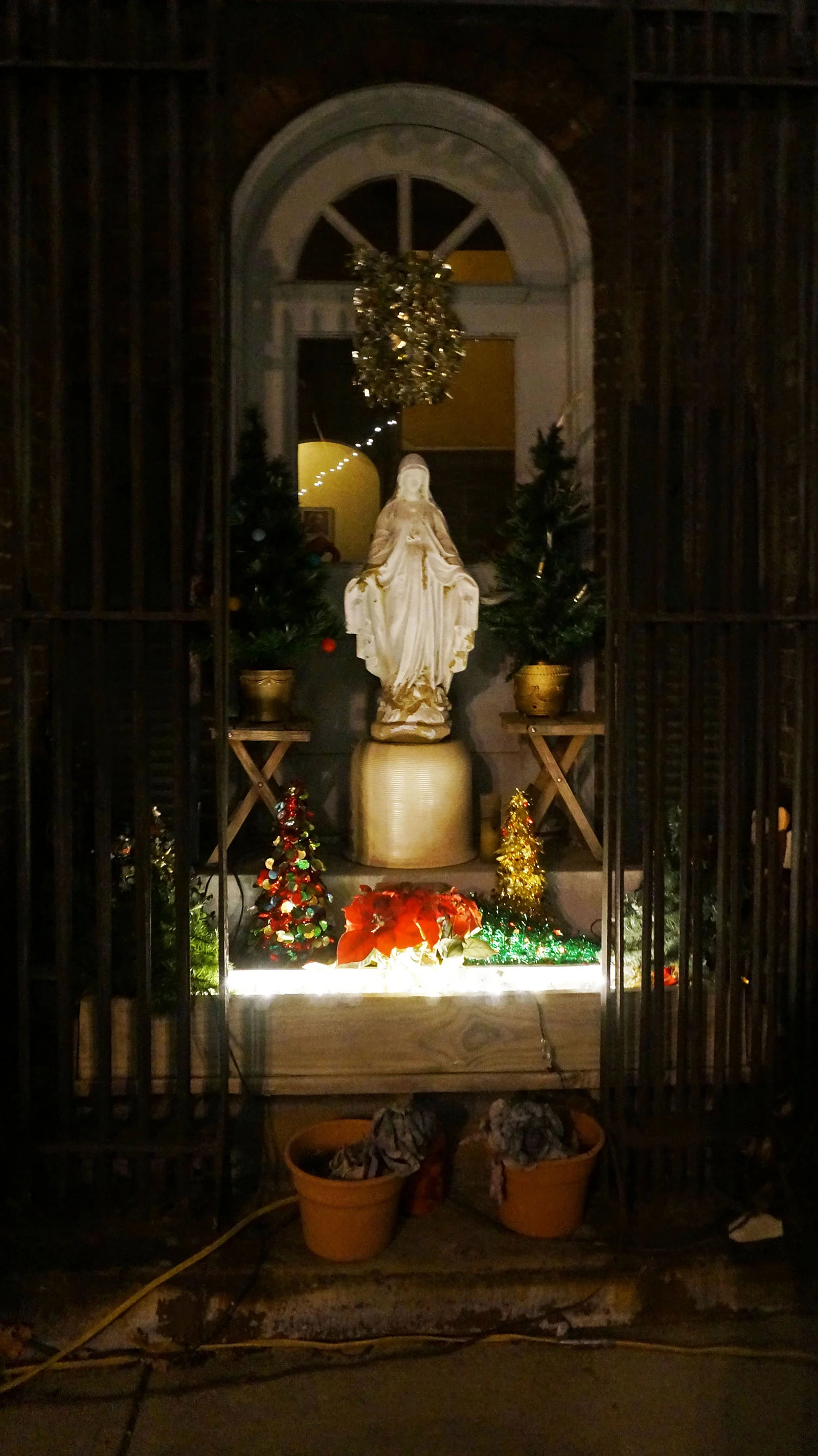 Ape_Bleakney_ClevelandW_DSC08260 copyx.jpg